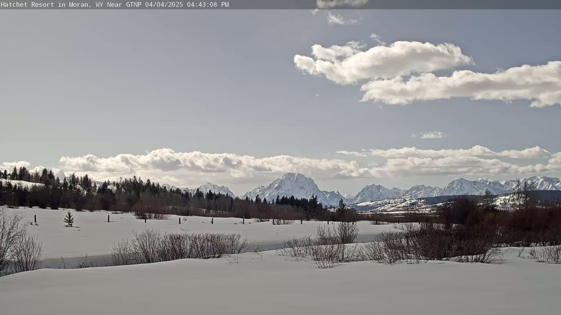 A snow-covered landscape with bare bushes and trees in the foreground, a line of dark evergreens in the middle ground, and snow-capped mountains under a partly cloudy sky in the background.