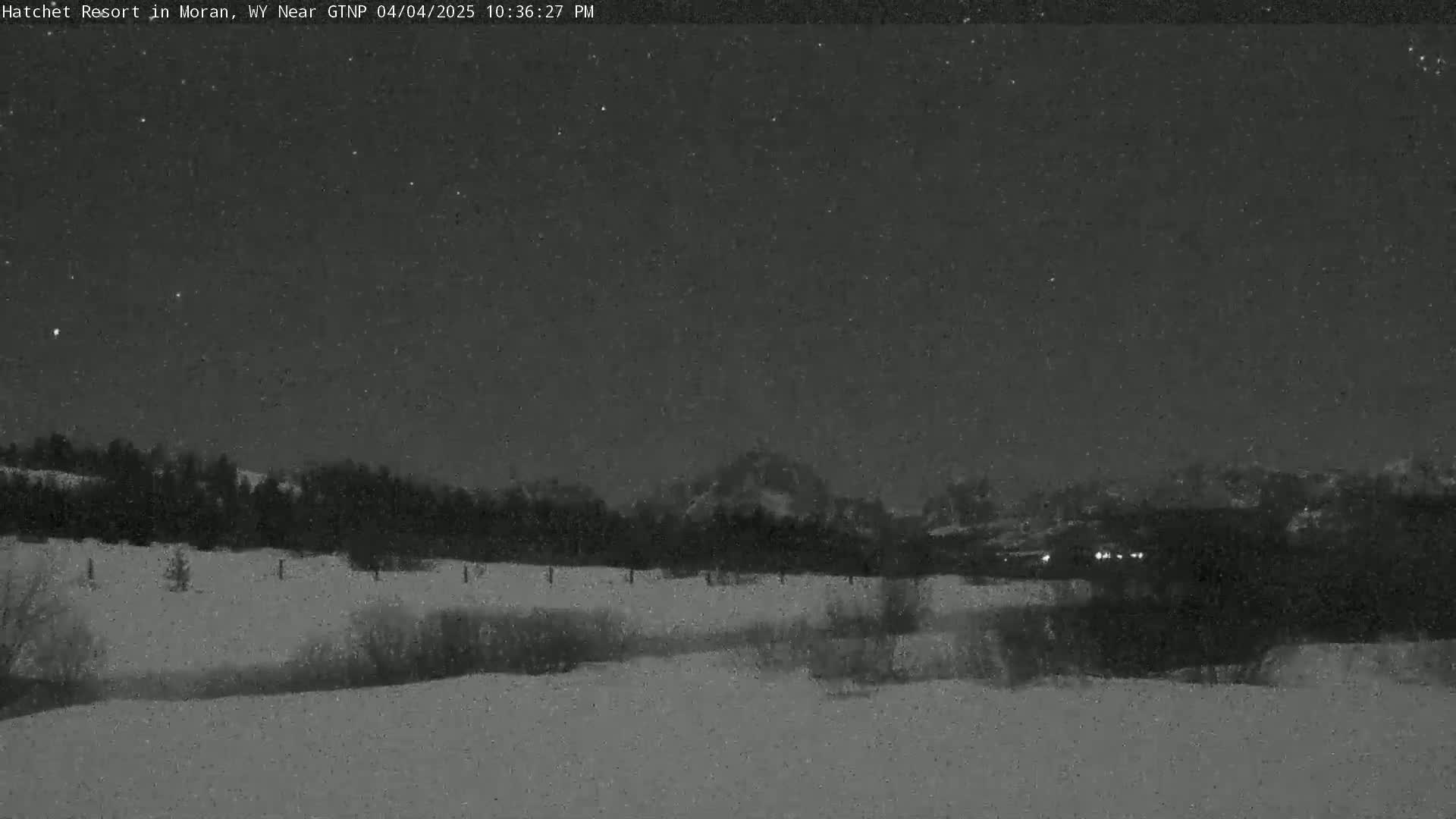 A snow-covered landscape at night shows a dark, starlit sky above a line of trees and mountains under a clear night sky.