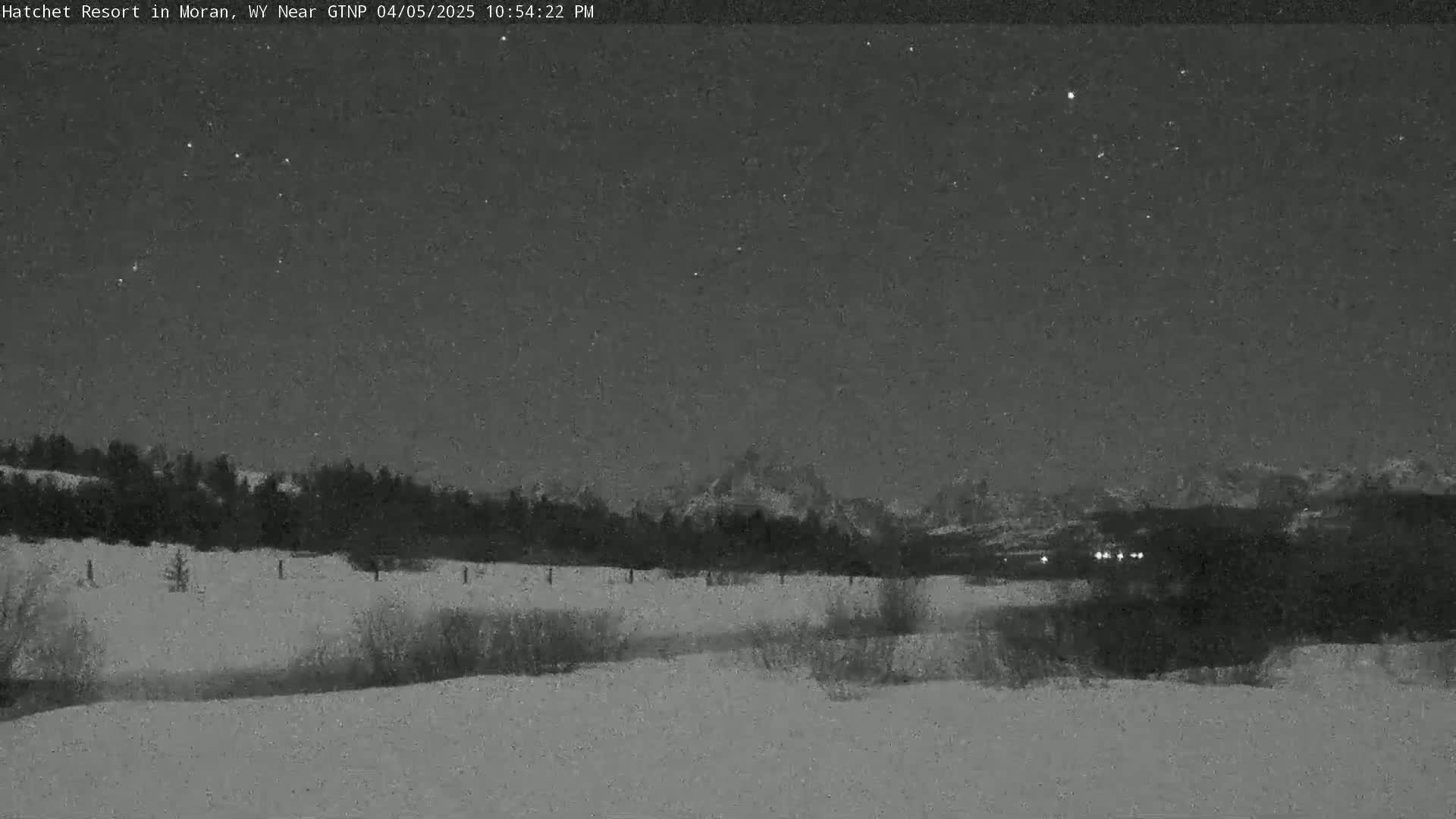 A snow-covered landscape at night, under a starry sky, shows dark trees and mountains in the distance.