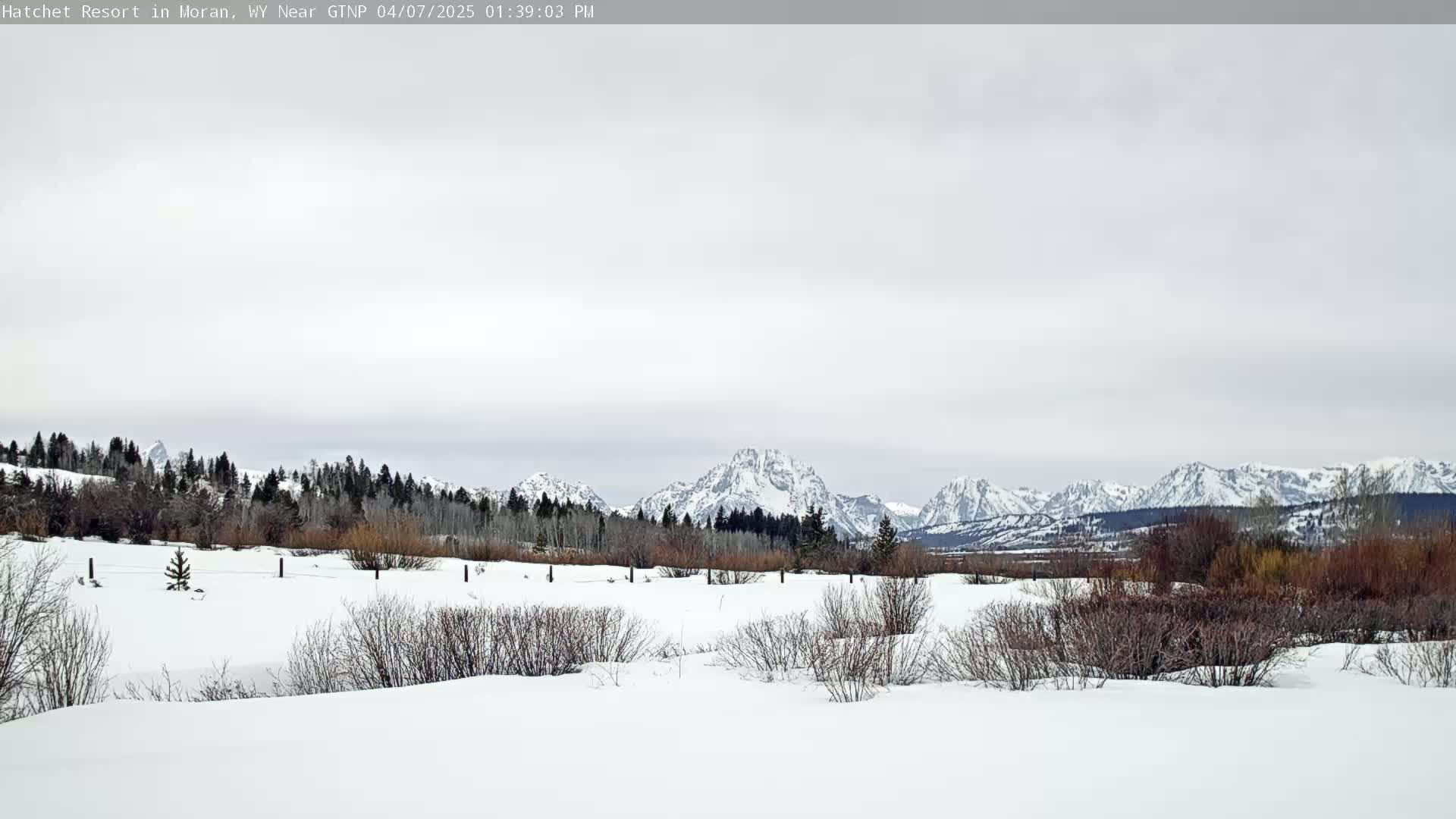 A snow-covered field with low shrubs sits in the foreground, overlooking a snow-capped mountain range under a cloudy sky.