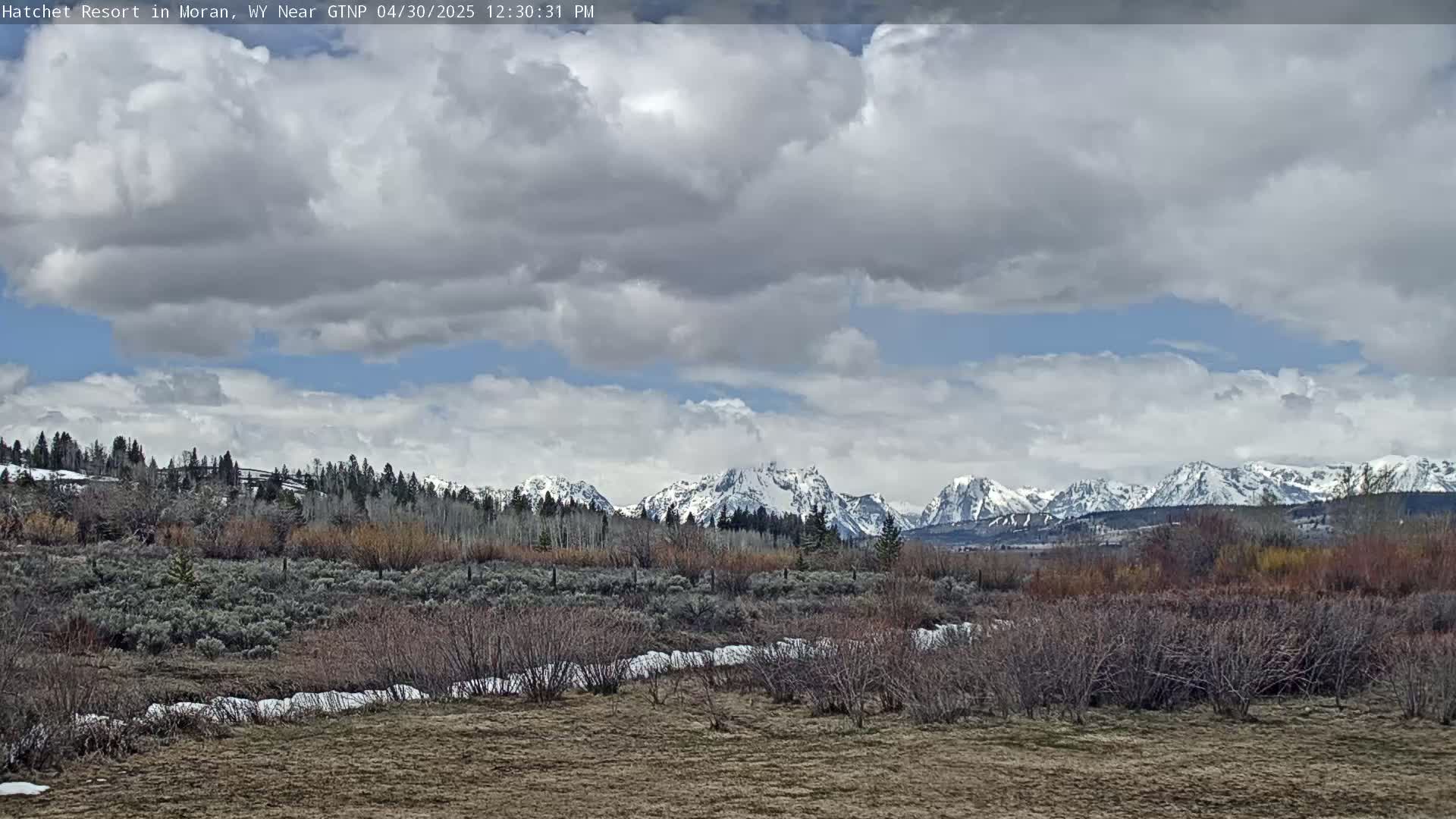 A partly cloudy day reveals snow-capped mountains in the distance behind a field of low shrubs and sparse trees with patches of snow on the ground.