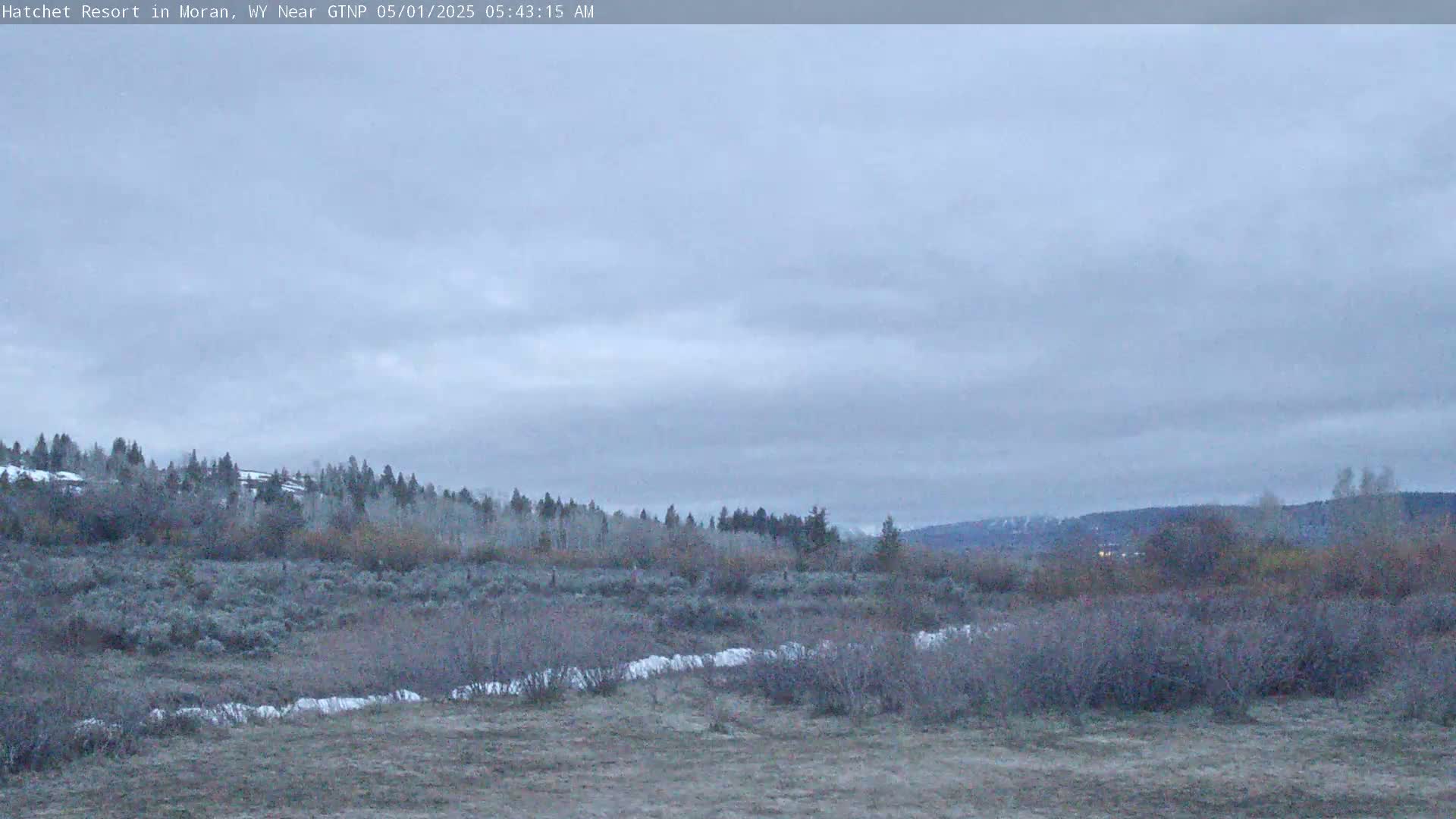 A flat, snow-dusted landscape with low-lying brush and trees under an overcast sky.