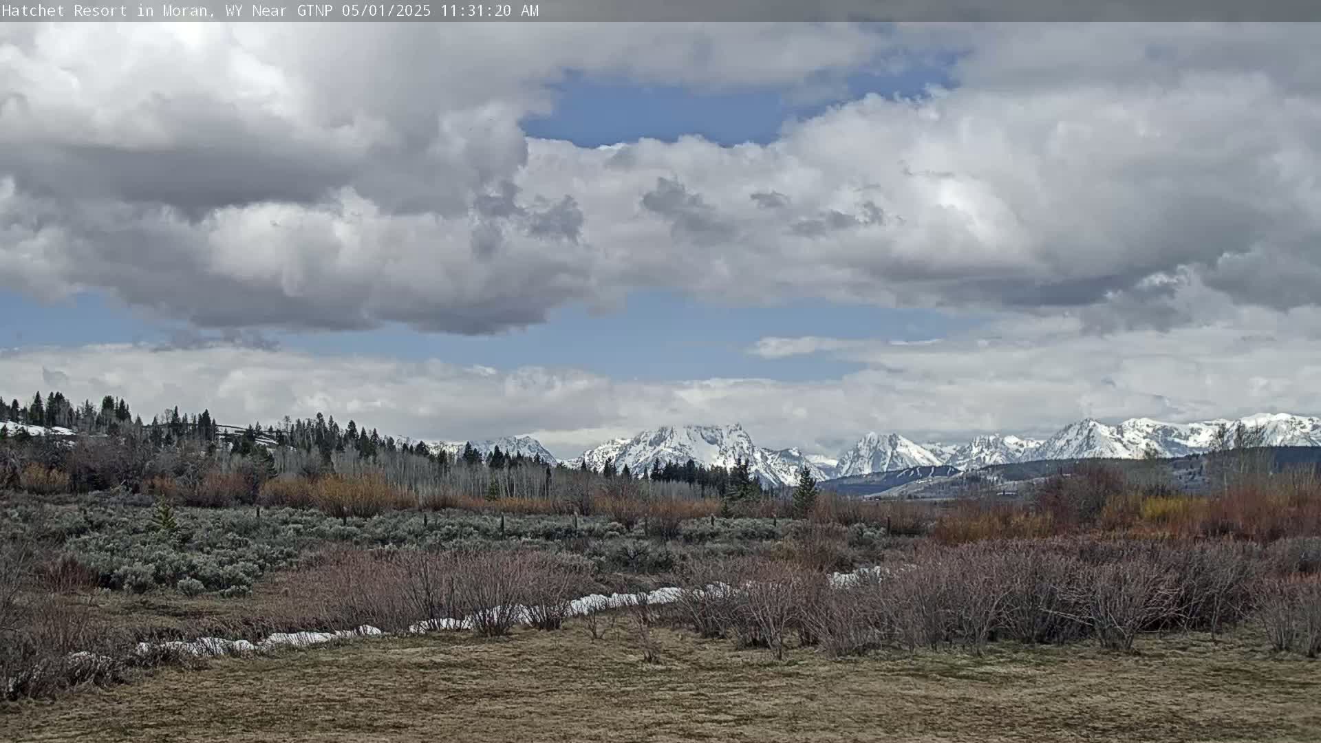 A partly cloudy sky overlooks a snow-dusted field of low bushes and trees, with a distant mountain range capped with snow.