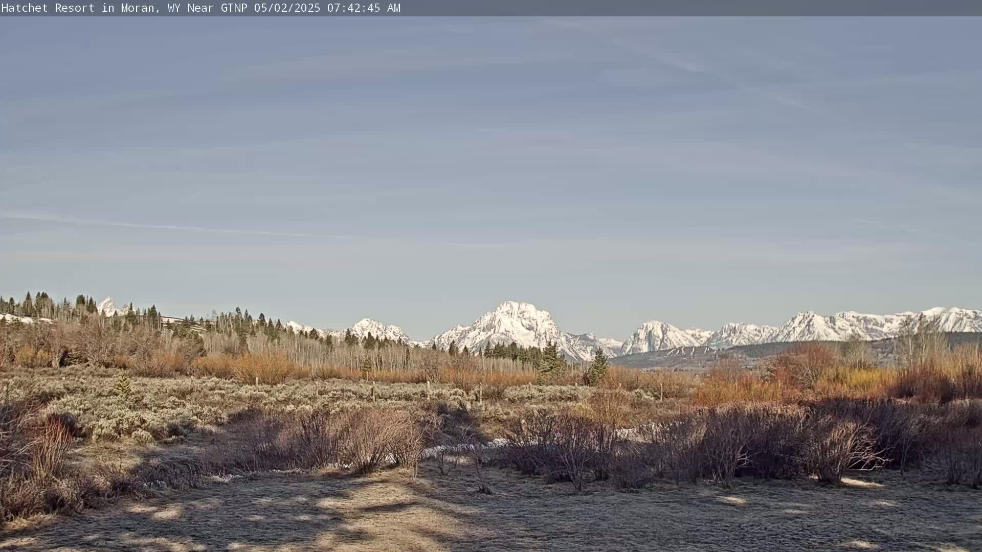 A snow-capped mountain range is visible in the distance, beyond a field of low-lying shrubs and trees under a clear sky.