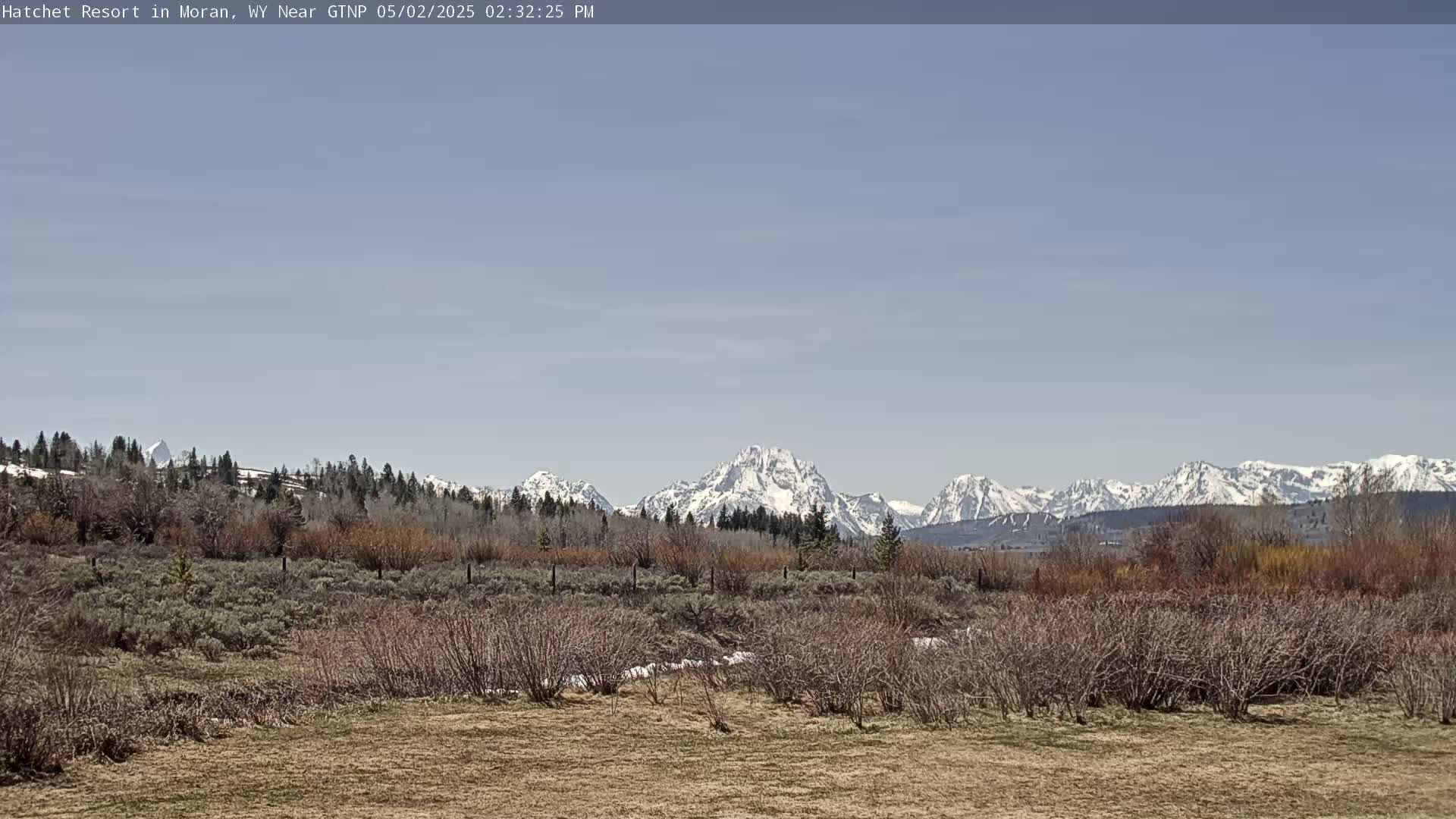 A snow-capped mountain range is visible in the distance across a field of dormant shrubs under a clear, light-blue sky.