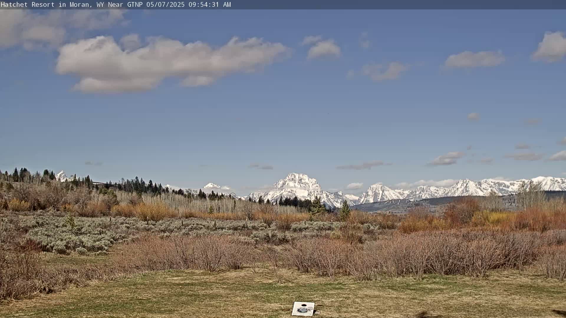 A partly cloudy, bright day reveals a snow-capped mountain range in the distance, behind a field of scrub brush and low-lying trees.