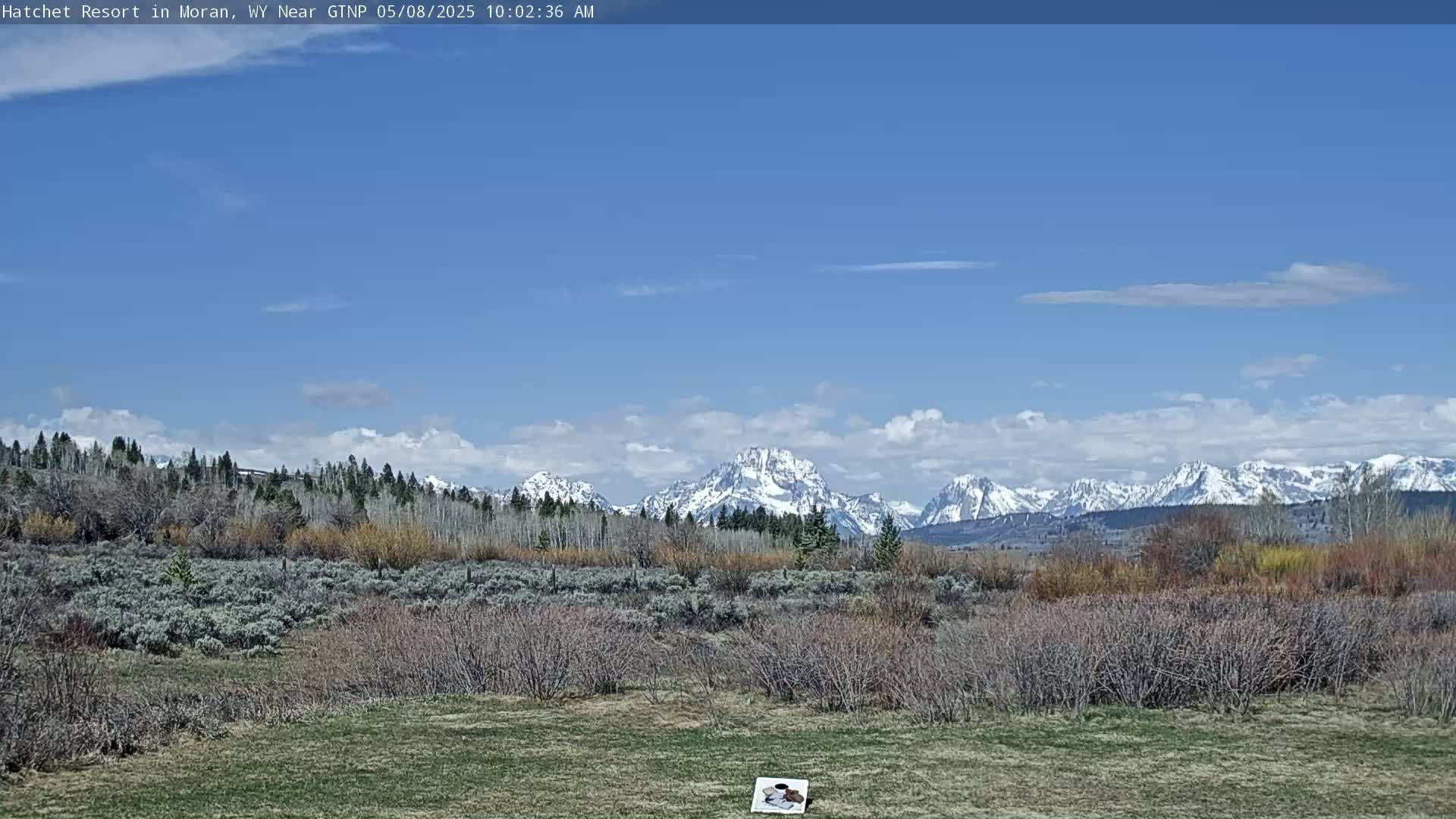 A mostly sunny day reveals a snow-capped mountain range in the distance, behind a foreground of scrubby brush and a grassy field.