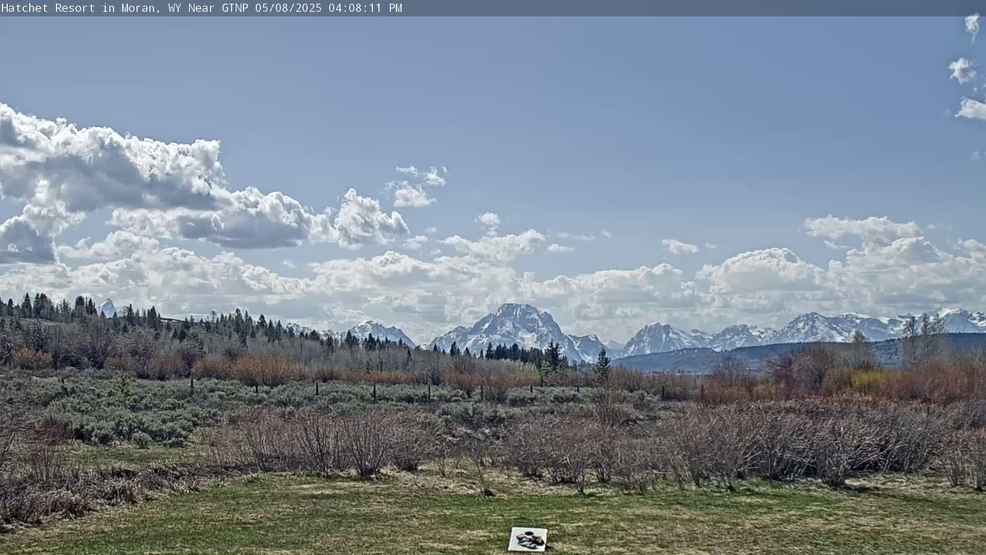 A partly cloudy sky overlooks a grassy field with shrubs and trees, beyond which snow-capped mountains are visible in the distance.