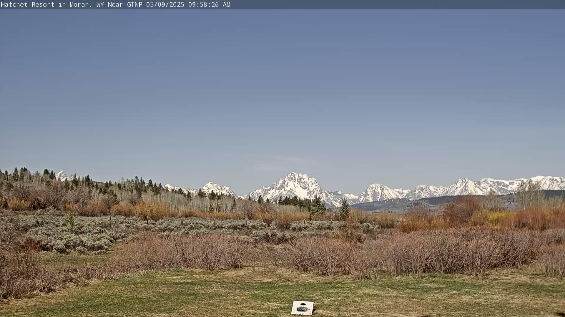 A snow-capped mountain range is visible in the distance behind a field of low-lying shrubs and grass under a clear blue sky.