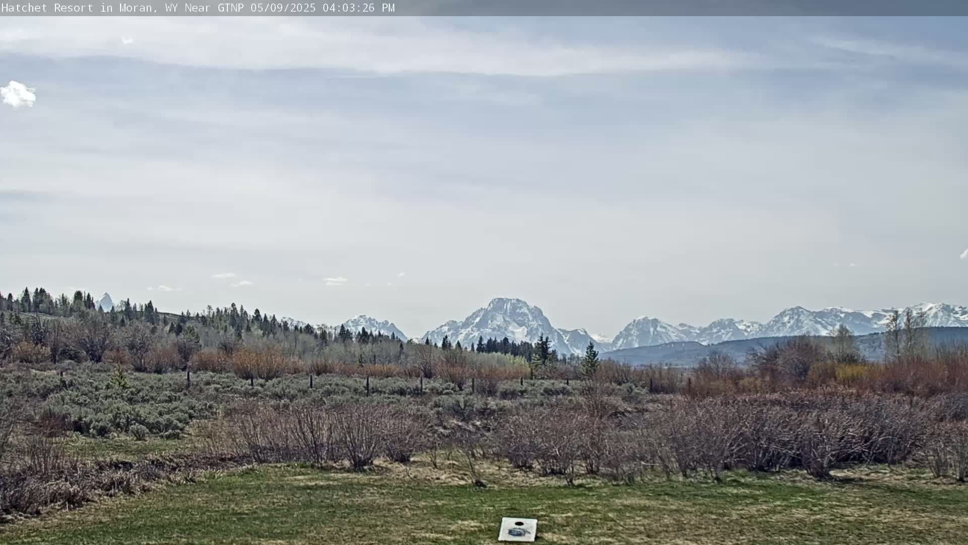 A snow-capped mountain range is visible in the distance beyond a field of low-lying shrubs and grass under a partly cloudy sky.