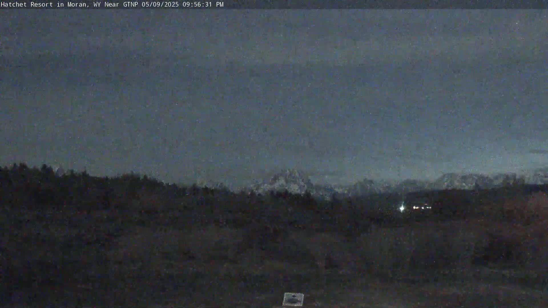 Under a dark, twilight sky, snow-capped mountains are visible in the distance behind a line of dark trees.
