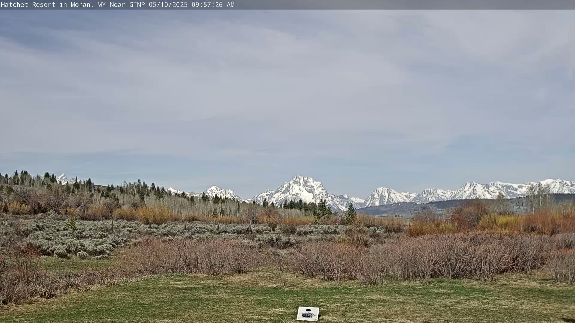 A grassy field with low shrubs and trees in the foreground, overlooks a snow-capped mountain range under a partly cloudy sky.