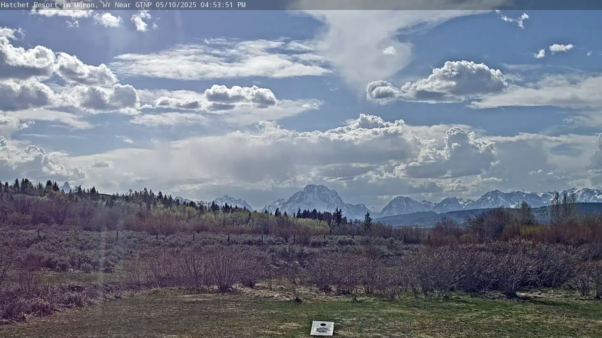 A partly cloudy sky overlooks a field of low shrubs and trees, with snow-capped mountains in the distance.