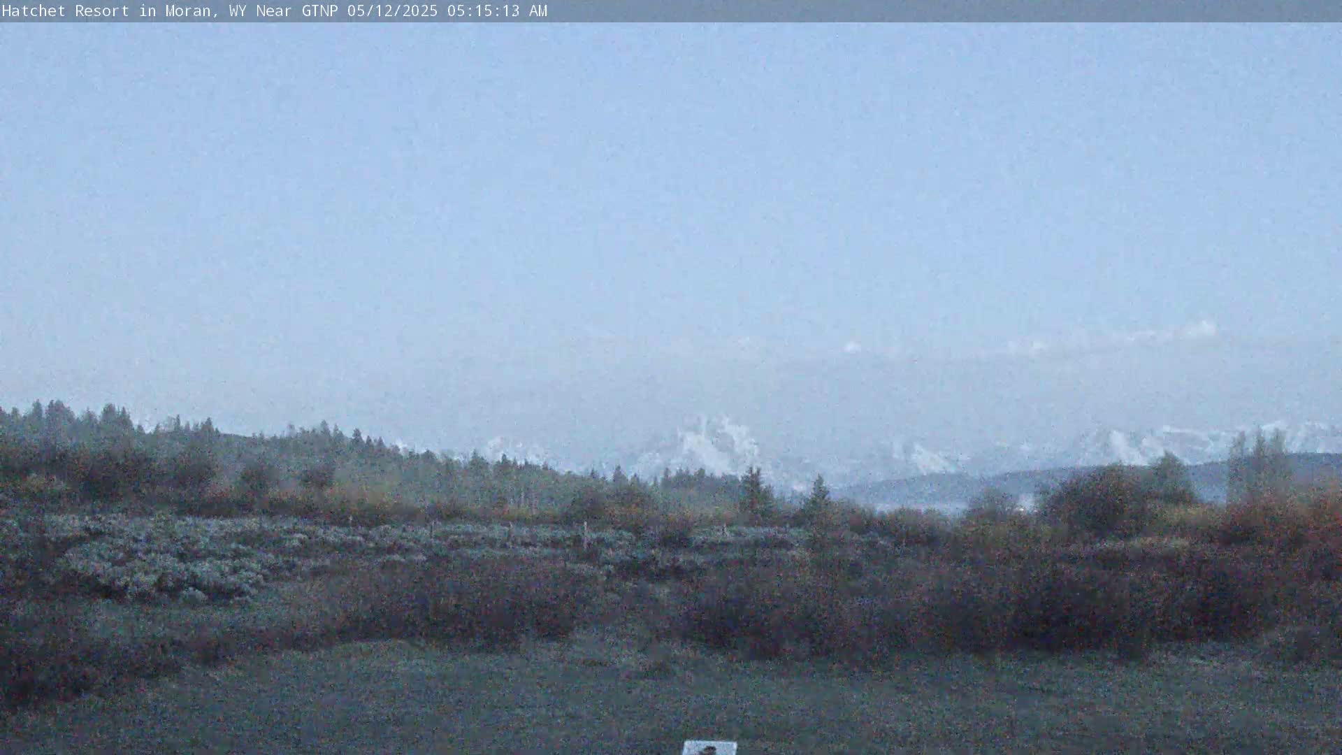 A hazy, light-blue sky overlooks a flat expanse of low-lying shrubs and trees, with distant mountains barely visible in the background.