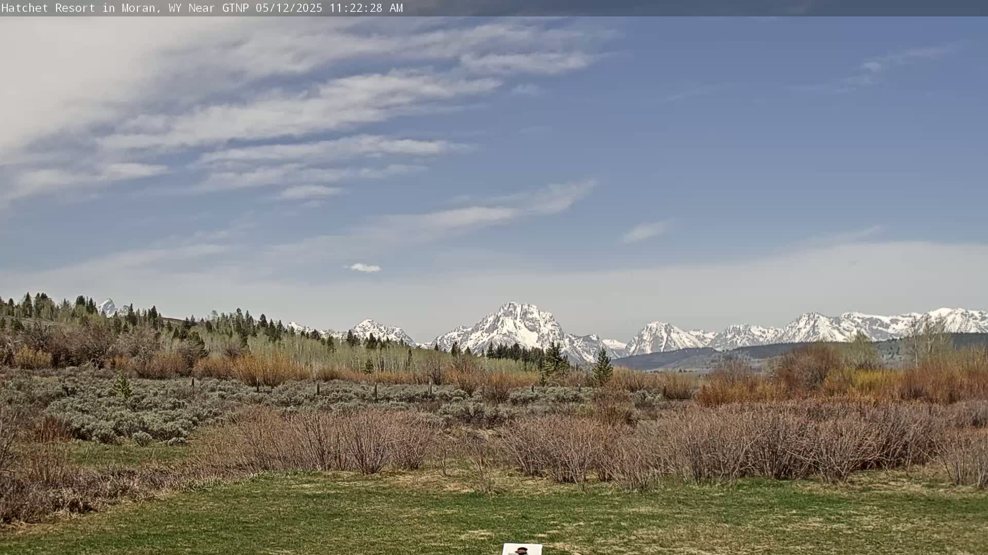 A partly cloudy sky overlooks a grassy field and scrub brush, with snow-capped mountains in the background.
