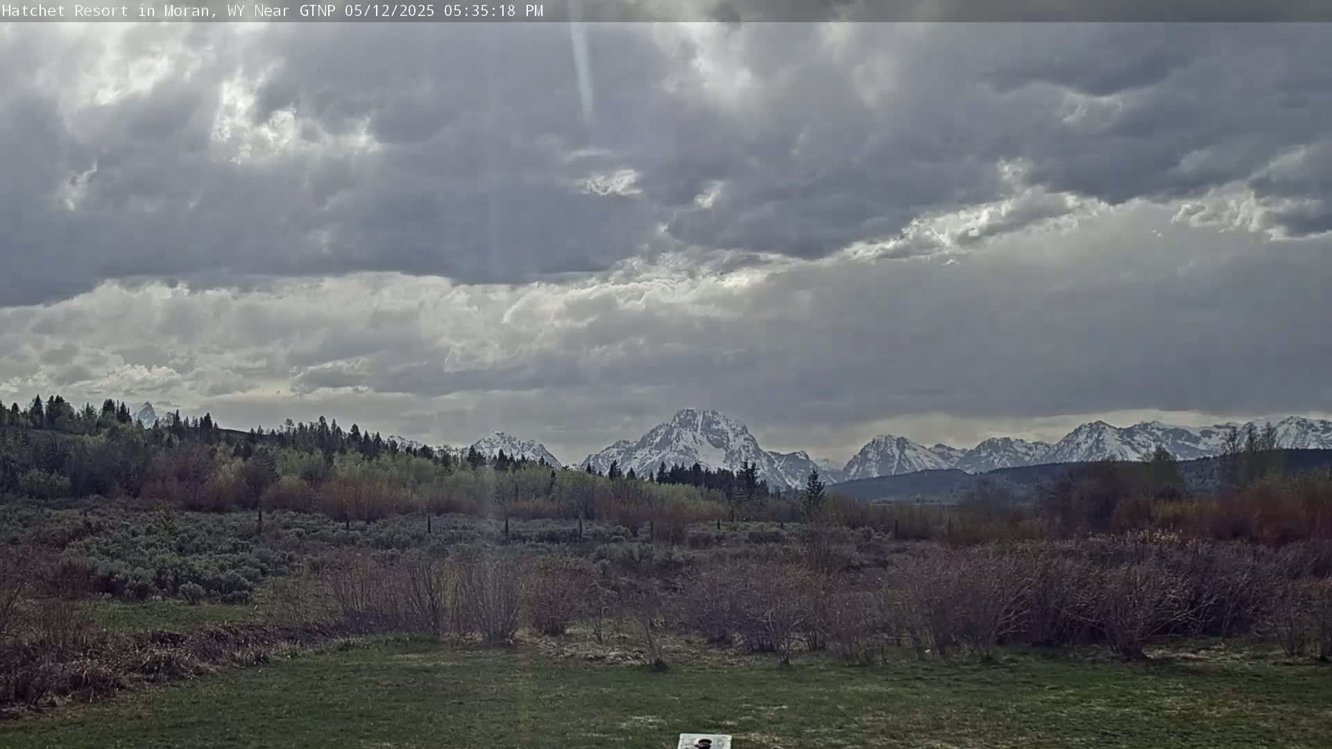 A field of low shrubs and trees stretches towards snow-capped mountains under a mostly cloudy sky.