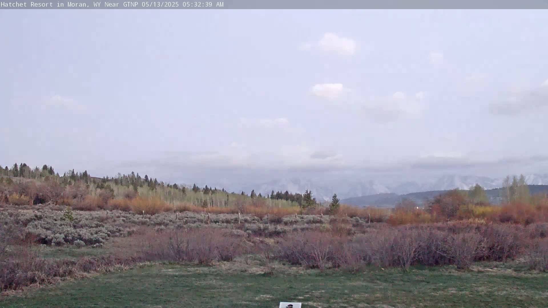 A partly cloudy sky overlooks a grassy field and scrubland, with a line of trees and snow-capped mountains in the distance.