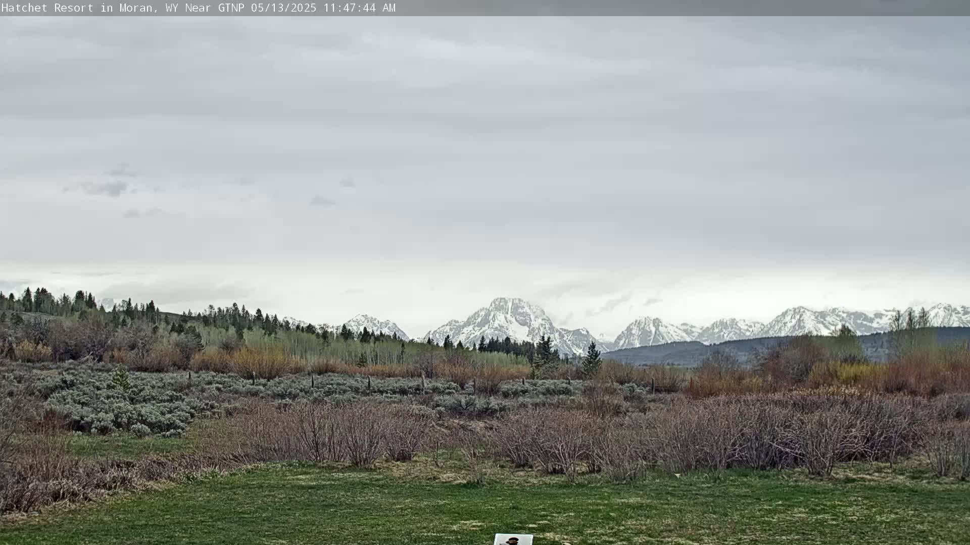 Moran, Hatchet Campground Live Cam - Moran, Teton, Wyoming, USA