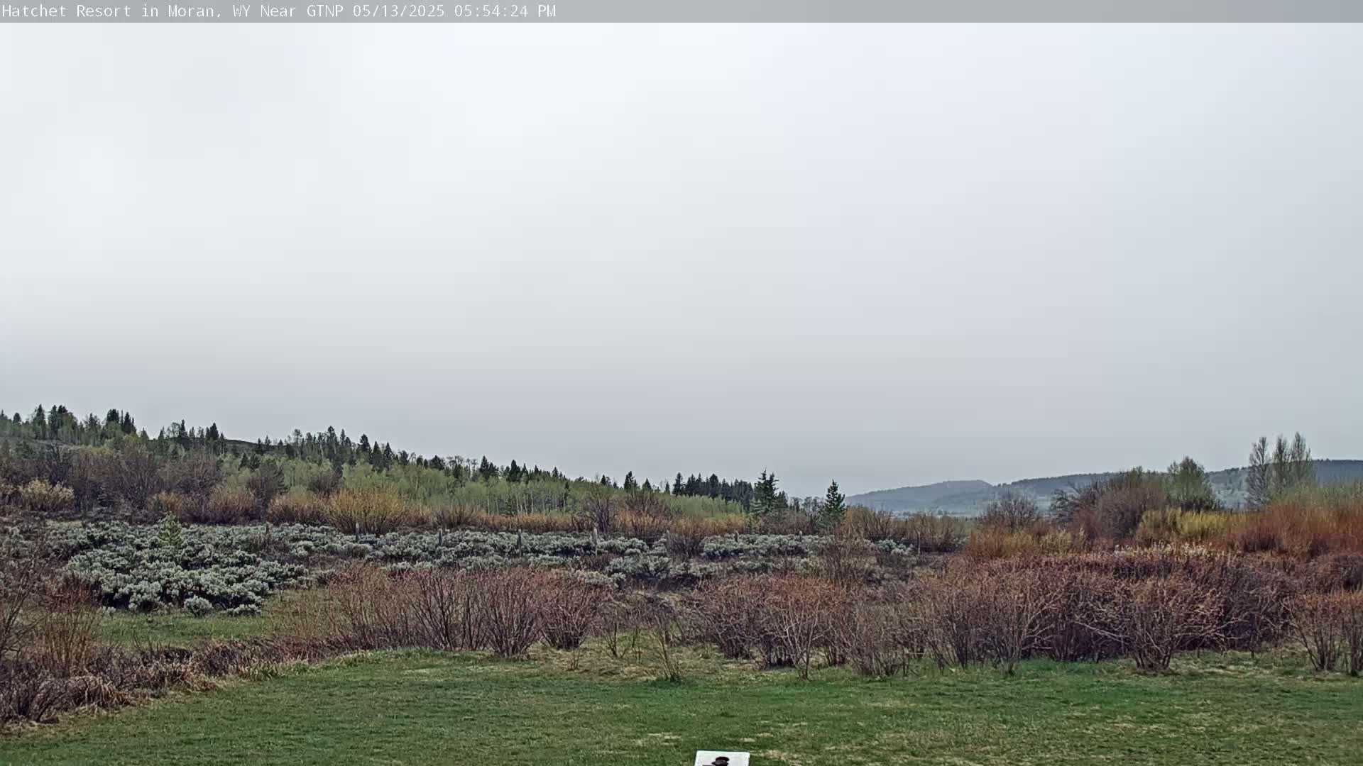 Moran, Hatchet Campground Live Cam - Moran, Teton, Wyoming, USA