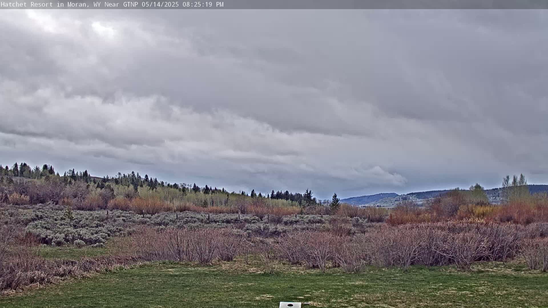 Moran, Hatchet Campground Live Cam - Moran, Teton, Wyoming, USA