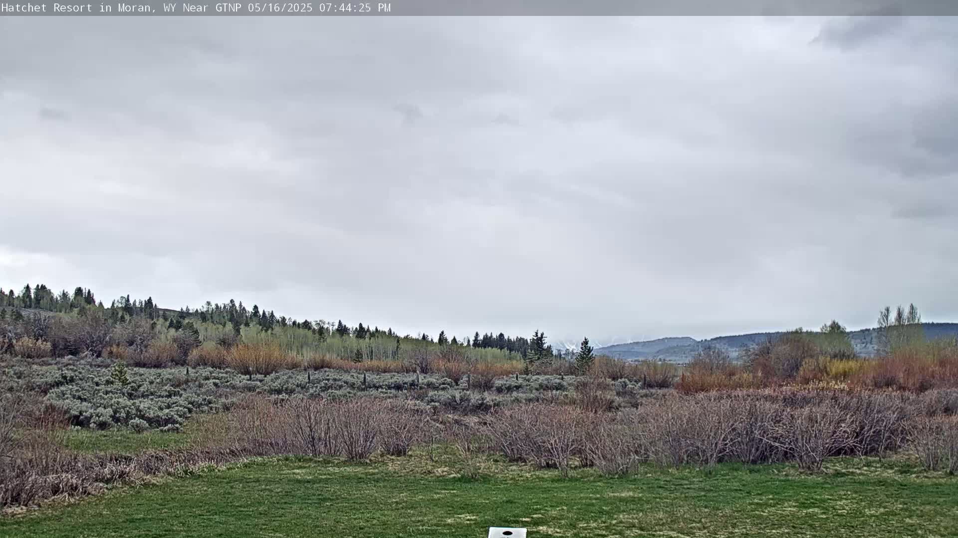 Moran, Hatchet Campground Live Cam - Moran, Teton, Wyoming, USA