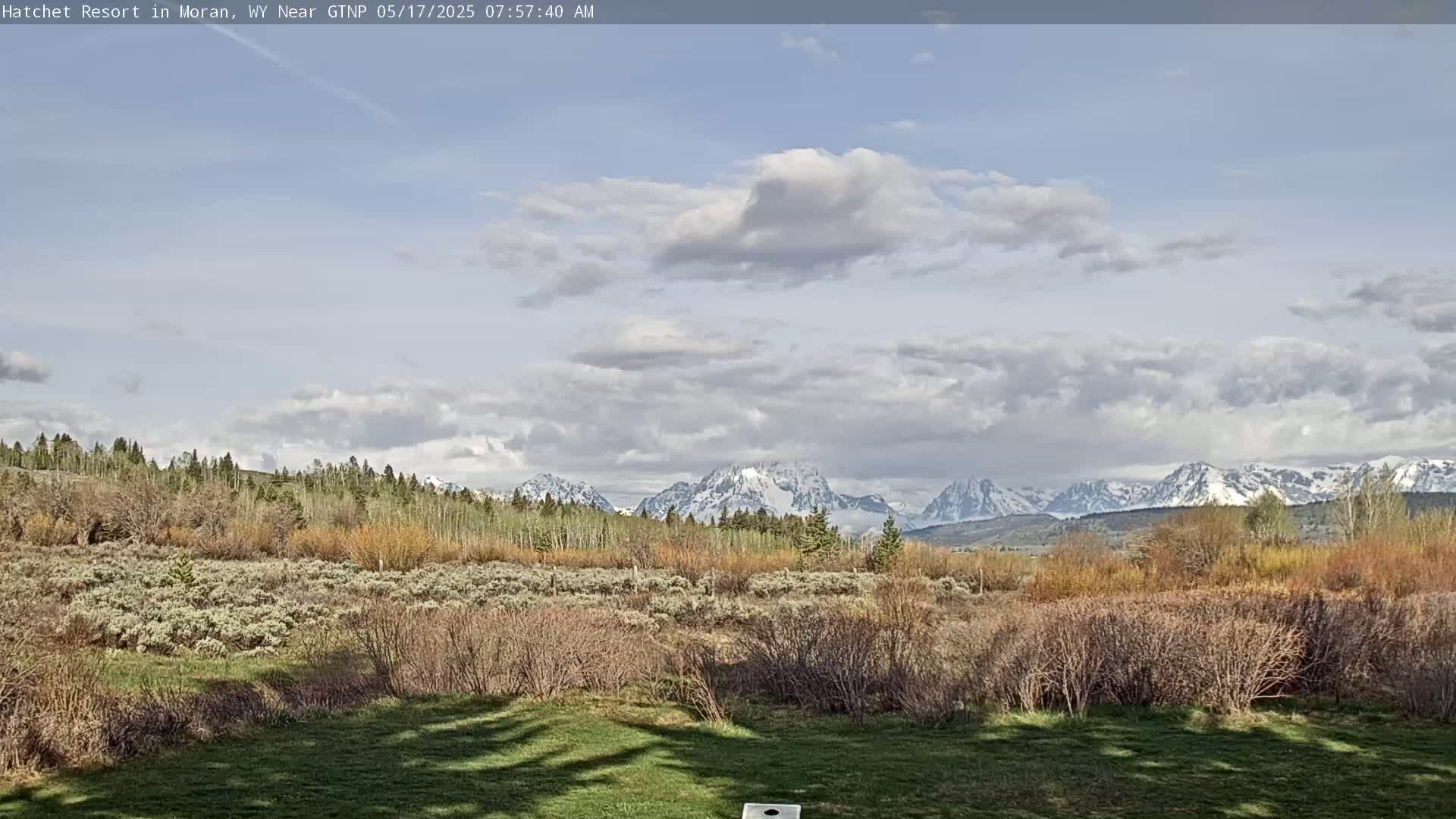 A partly cloudy sky overlooks a snow-capped mountain range behind a field of low-lying shrubs and trees.