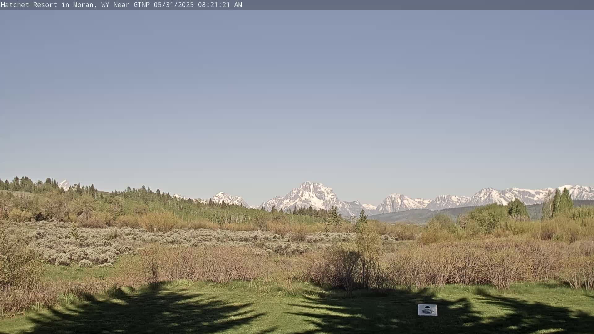 A grassy field with shrubs and trees in the foreground stretches towards snow-capped mountains under a clear blue sky.