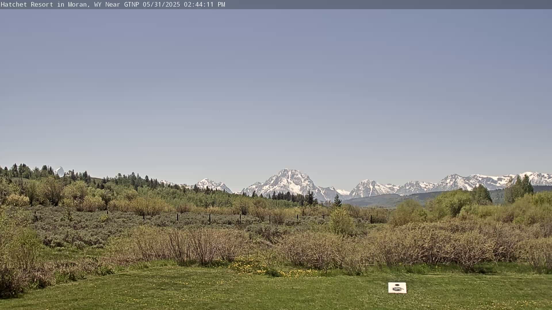 A grassy field with shrubs and trees in the foreground, overlooks a mountain range with snow-capped peaks under a clear, light blue sky.