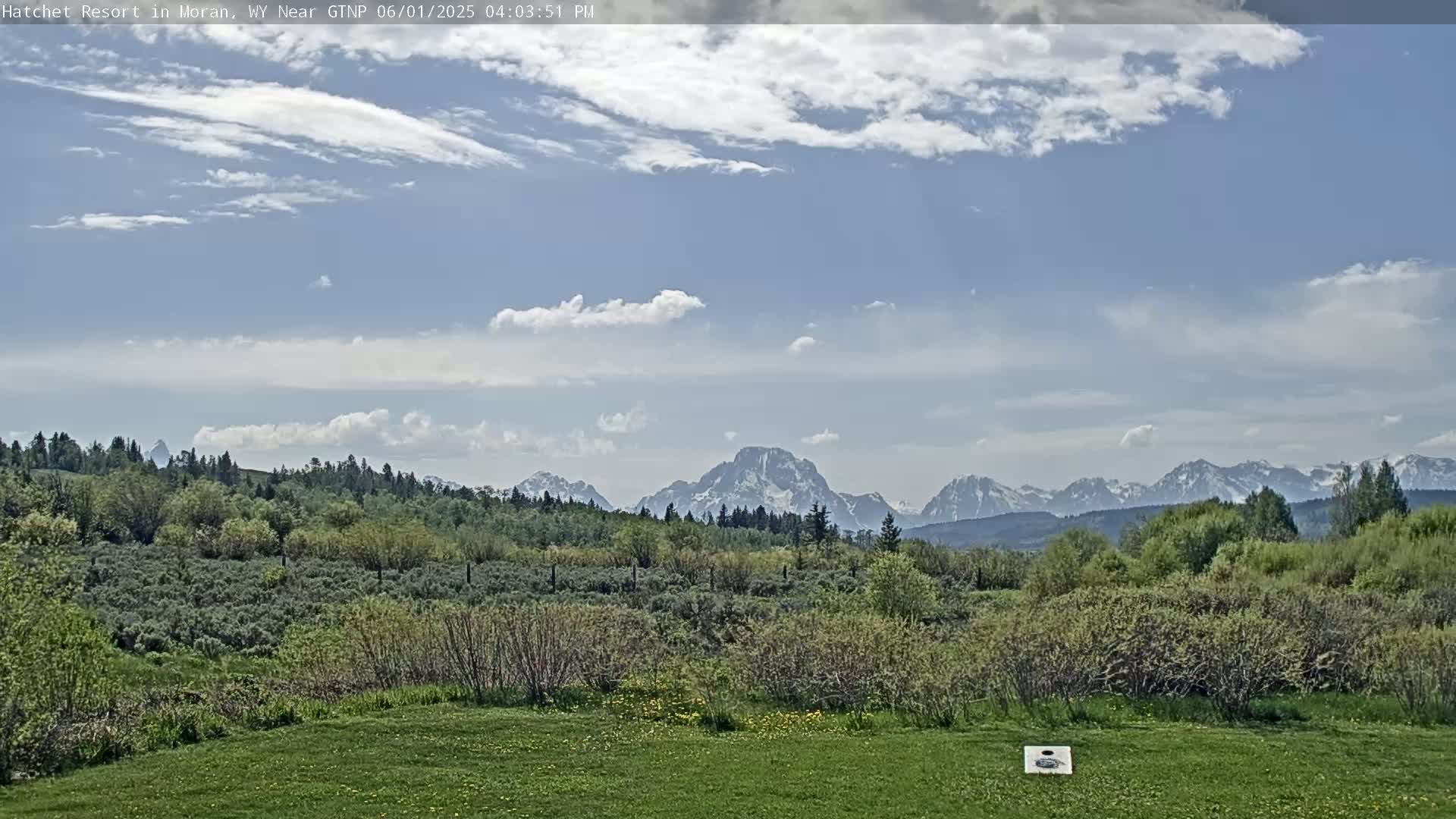 A grassy field overlooks a lush green landscape and snow-capped mountains under a partly cloudy sky.