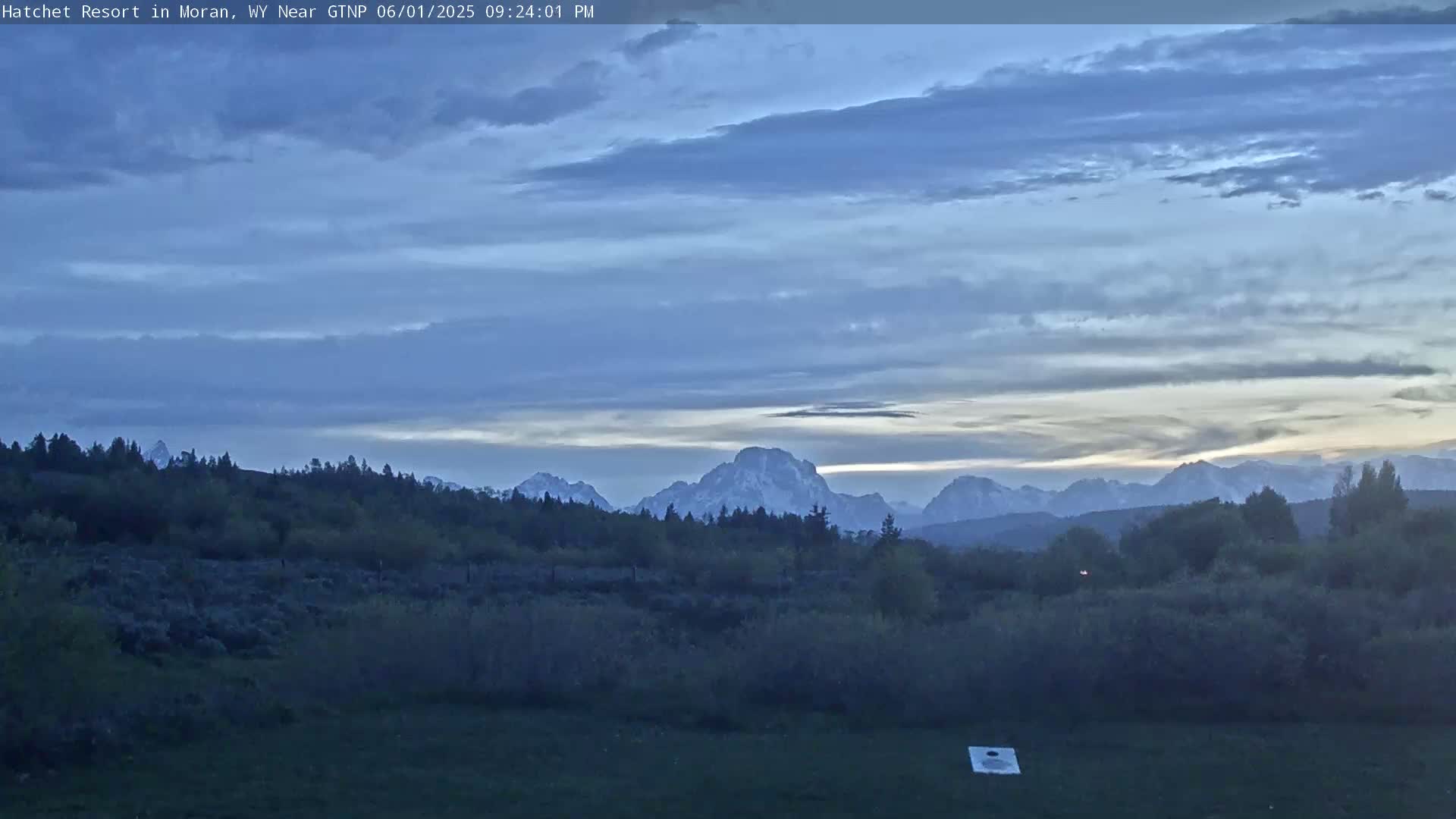 A partly cloudy twilight sky overlooks a field of trees and low vegetation, with a snow-capped mountain range in the distance.