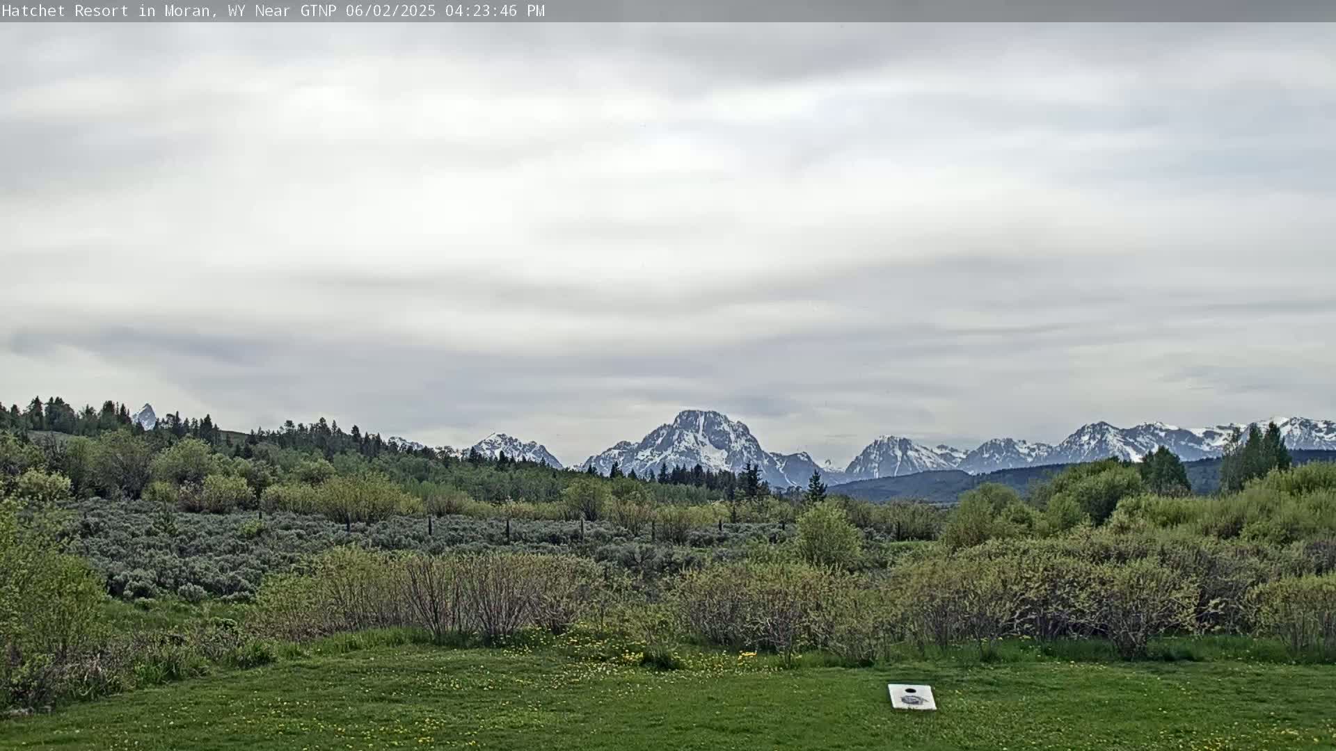 A grassy field with low-lying shrubs and trees stretches toward snow-capped mountains under an overcast sky.