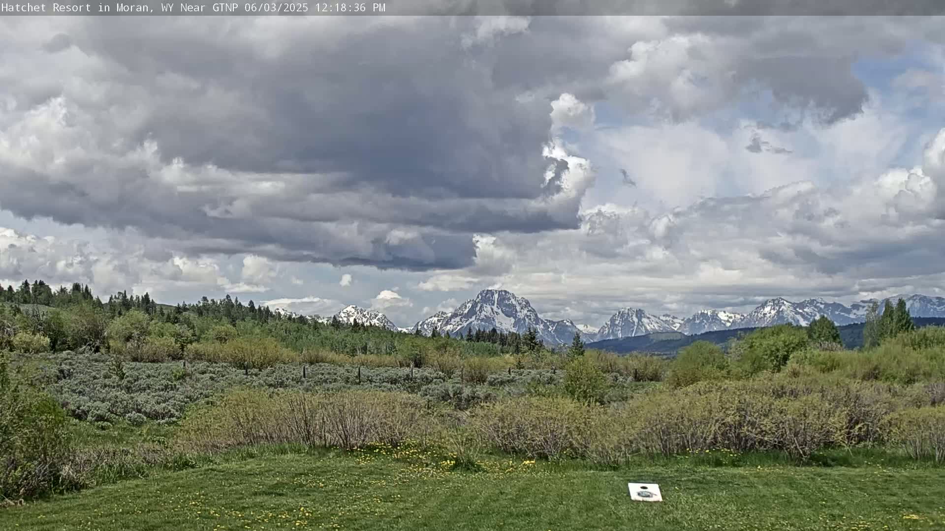 A grassy field with low shrubs and trees in the foreground, overlooks a mountain range with snow-capped peaks under a partly cloudy sky.