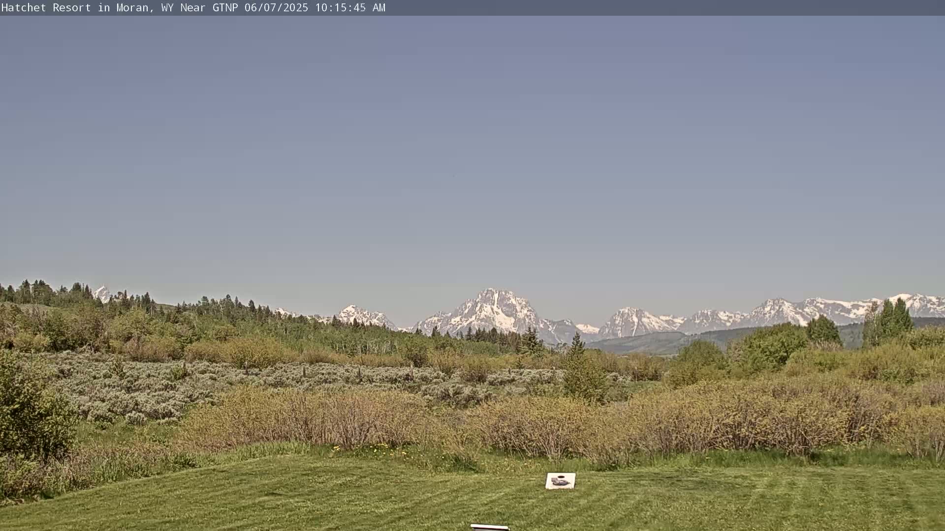 A grassy field stretches towards a line of trees and shrubs, beyond which snow-capped mountains rise under a clear, light-blue sky.
