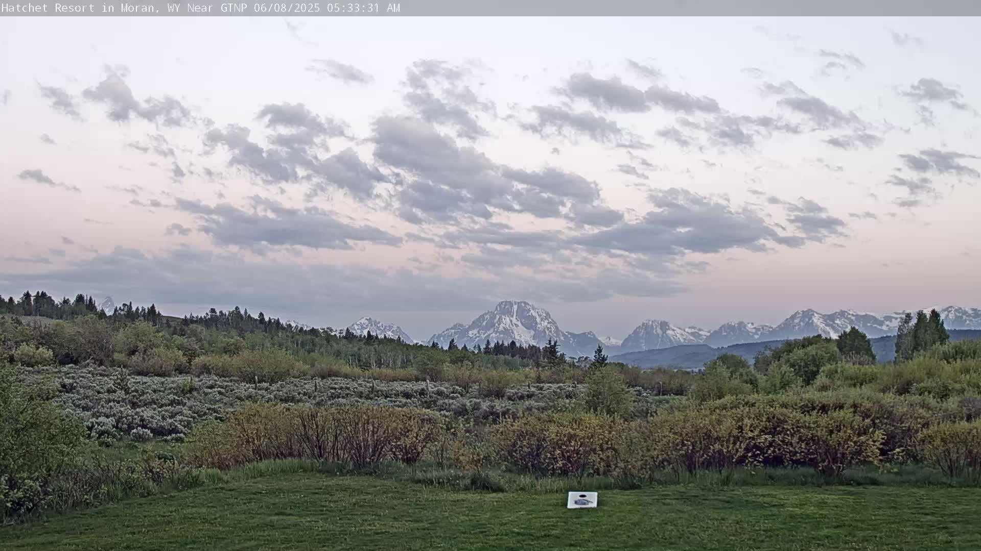 A grassy field with shrubs and trees in the foreground overlooks a mountain range with snow-capped peaks under a partly cloudy, dusky sky.
