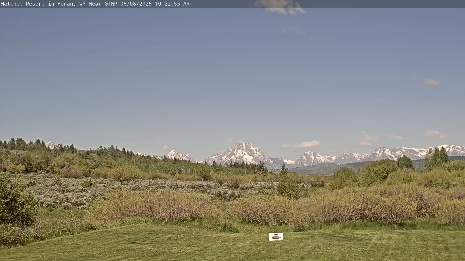 A grassy field with shrubs and trees in the foreground stretches towards snow-capped mountains under a clear, light-blue sky.