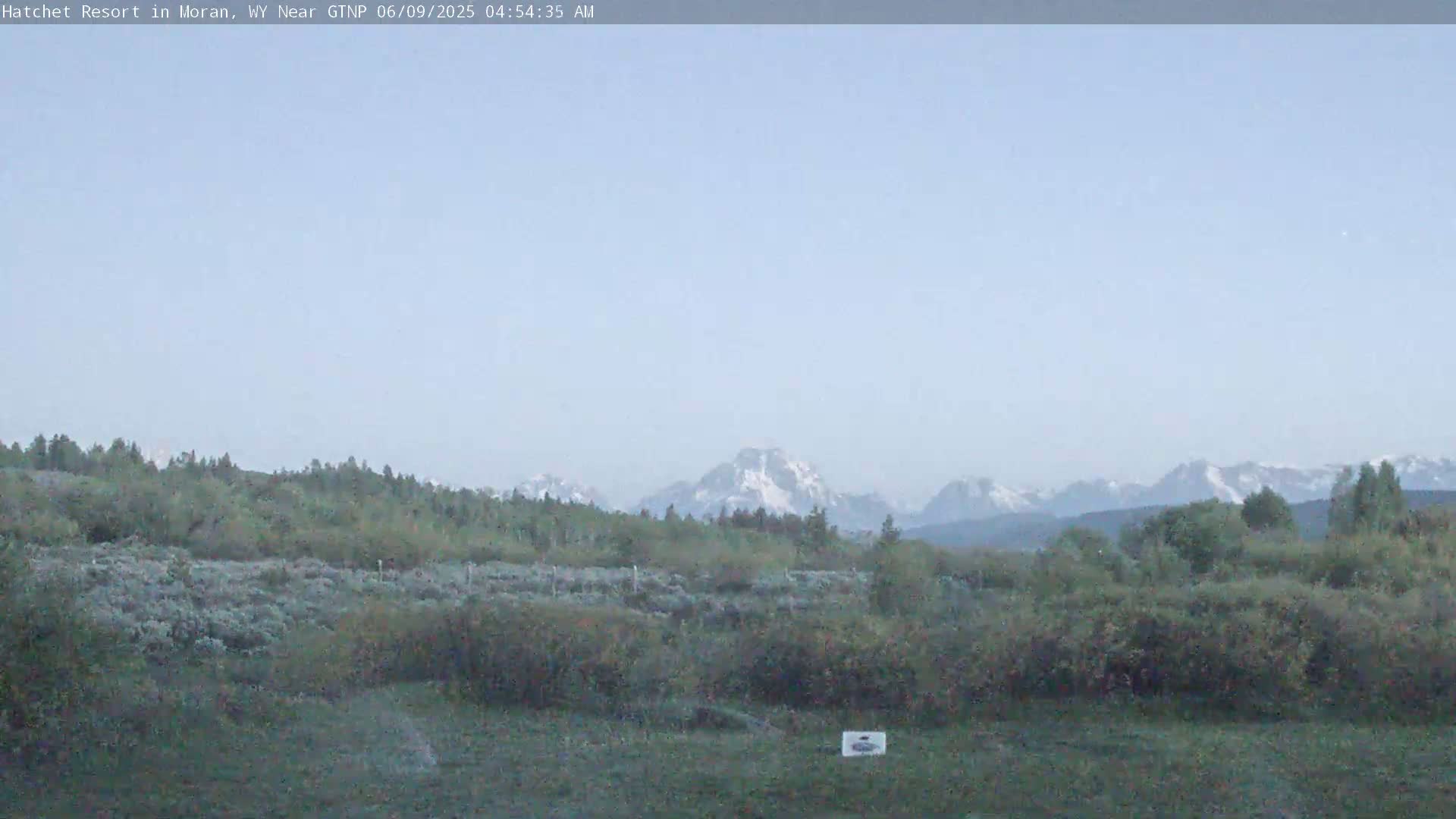 A mostly clear sky reveals snow-capped mountains in the distance behind a field of low-lying green vegetation.