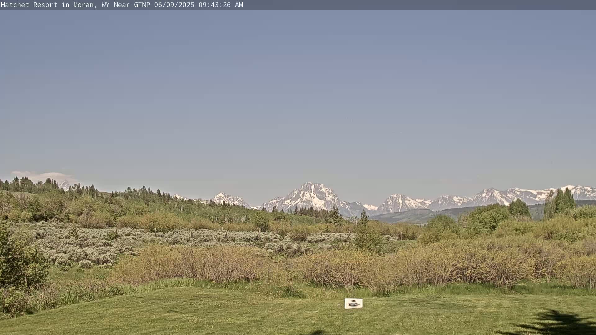 A grassy field stretches towards a line of green trees and shrubs, beyond which snow-capped mountains rise under a clear sky.