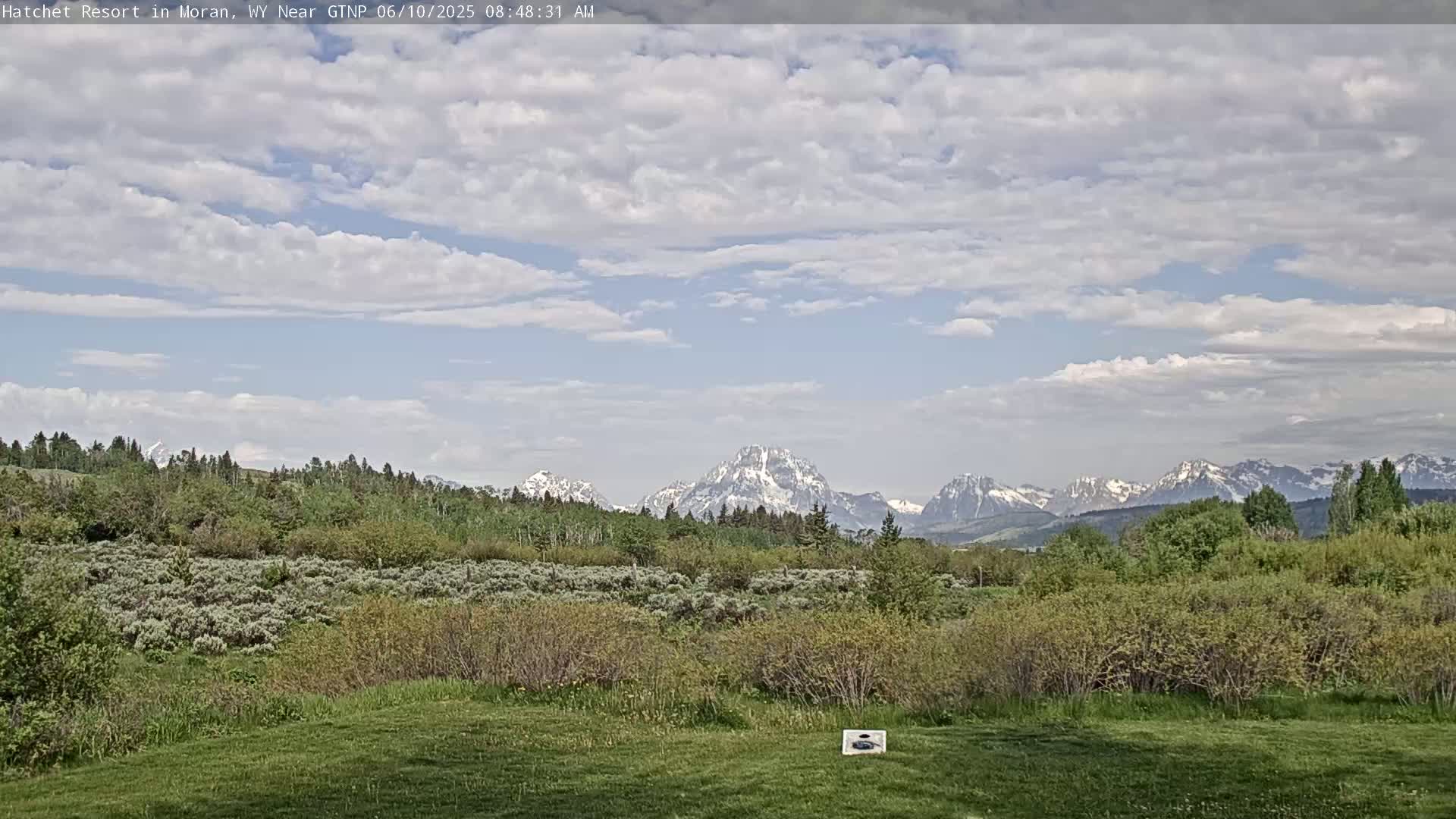 A partly cloudy sky overlooks a grassy field, green shrubs, and trees, with snow-capped mountains in the distance.
