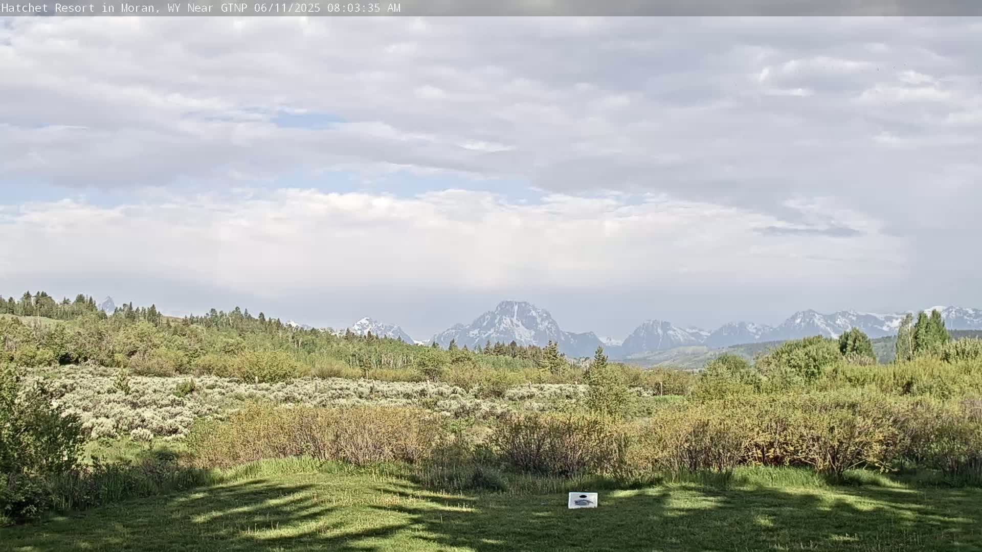 A grassy field with low bushes and trees stretches out to a line of snow-capped mountains under a partly cloudy sky.