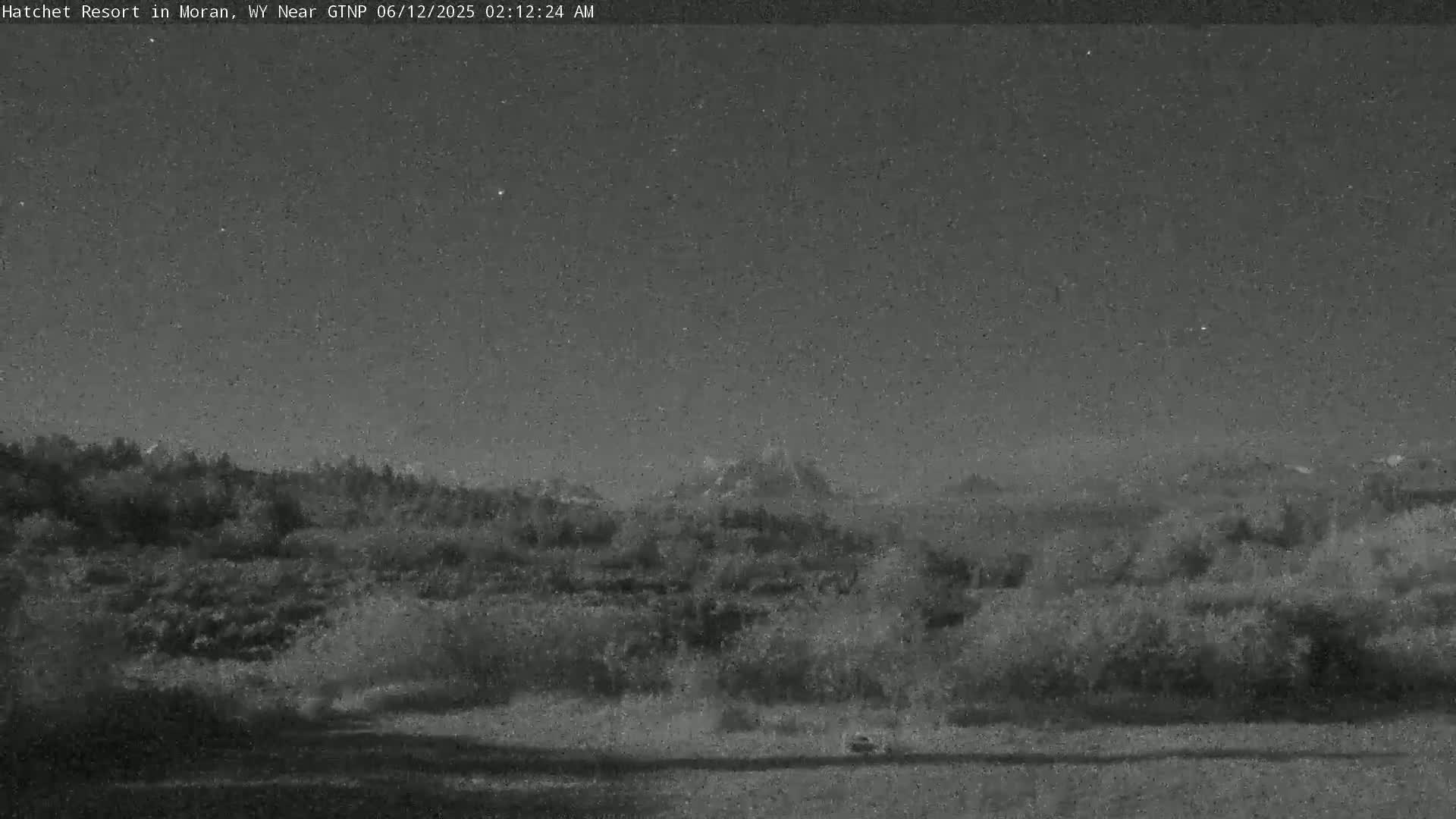 A nighttime, low-light view shows dark shrubbery in the foreground with a mountain range visible in the distance under a clear, starry sky.