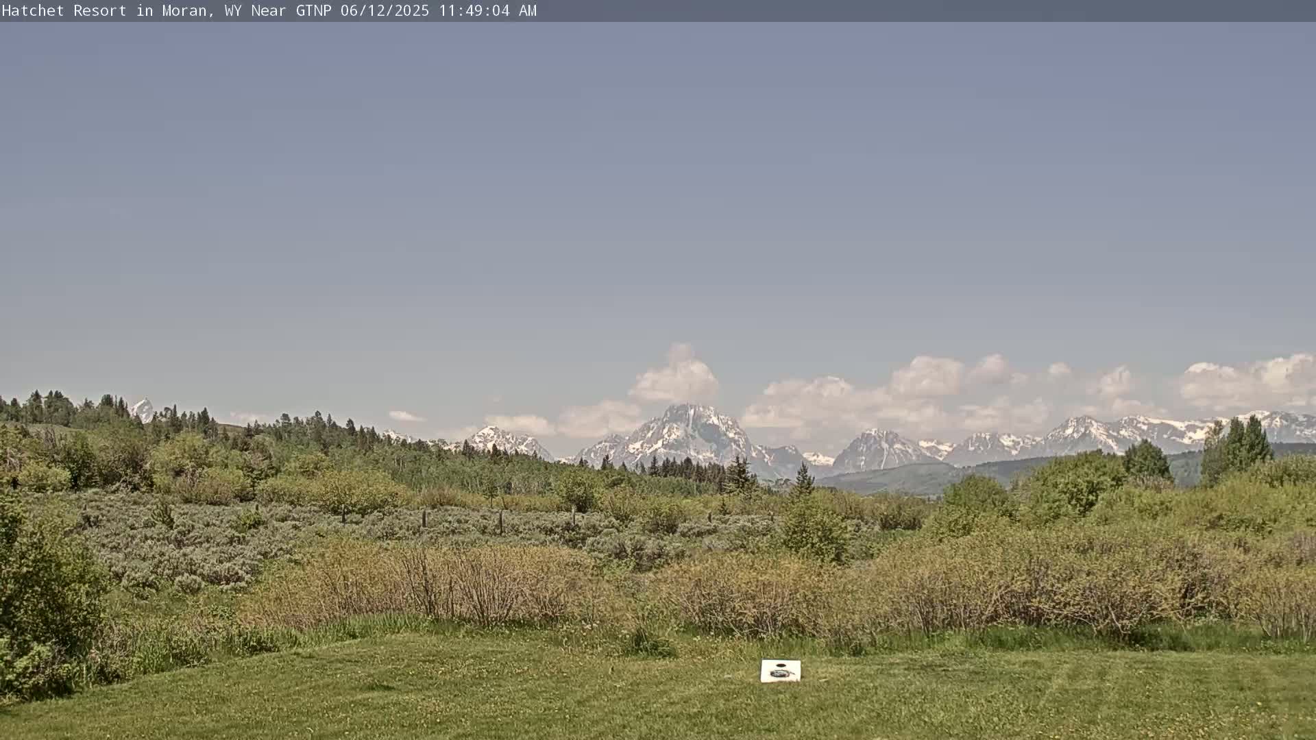 A grassy field overlooks a line of green shrubbery and trees, beyond which snow-capped mountains rise under a partly cloudy sky.