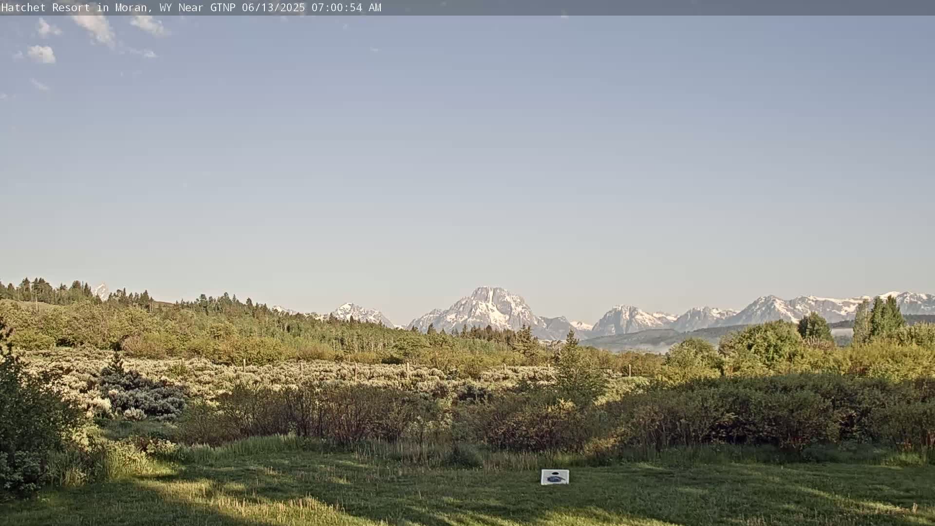 A grassy field with green shrubs and trees in the foreground, overlooks a mountain range with snow-capped peaks under a clear sky.