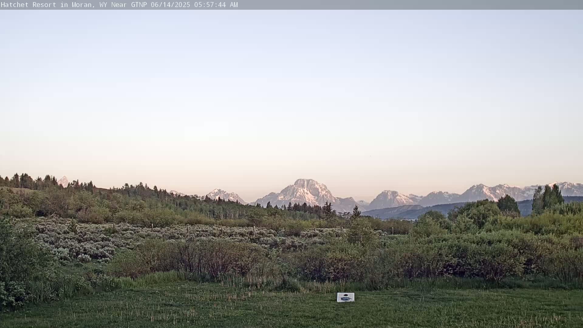 A grassy field with low shrubs and trees stretches towards a mountain range with snow-capped peaks under a pale, clear sky at dawn.