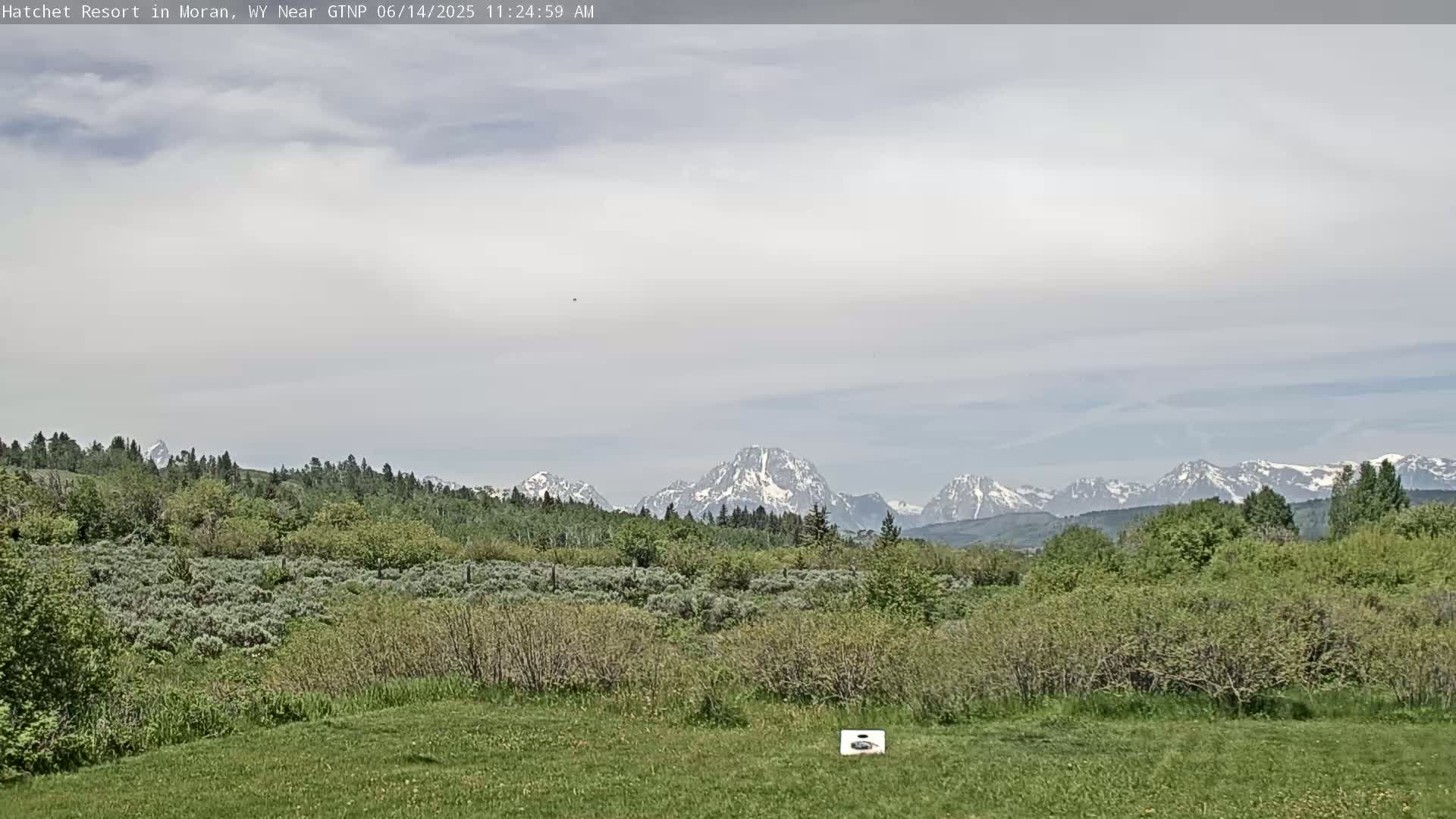 A grassy field with shrubs and trees in the foreground overlooks snow-capped mountains under a partly cloudy sky.