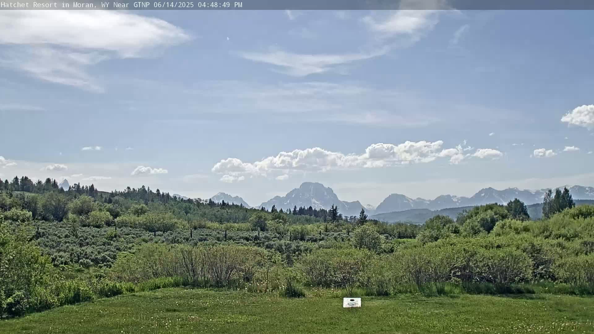 A grassy field with shrubs and trees in the foreground overlooks snow-capped mountains under a partly cloudy sky.