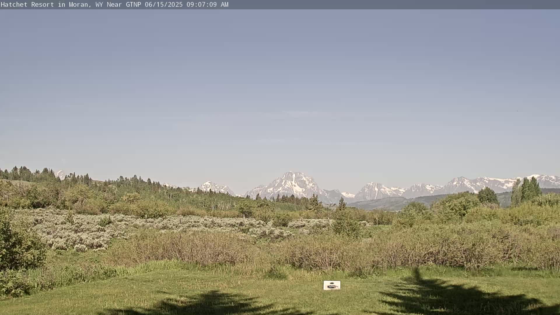 A grassy field with low shrubs and trees stretches towards a mountain range with snow-capped peaks under a clear, light-blue sky.