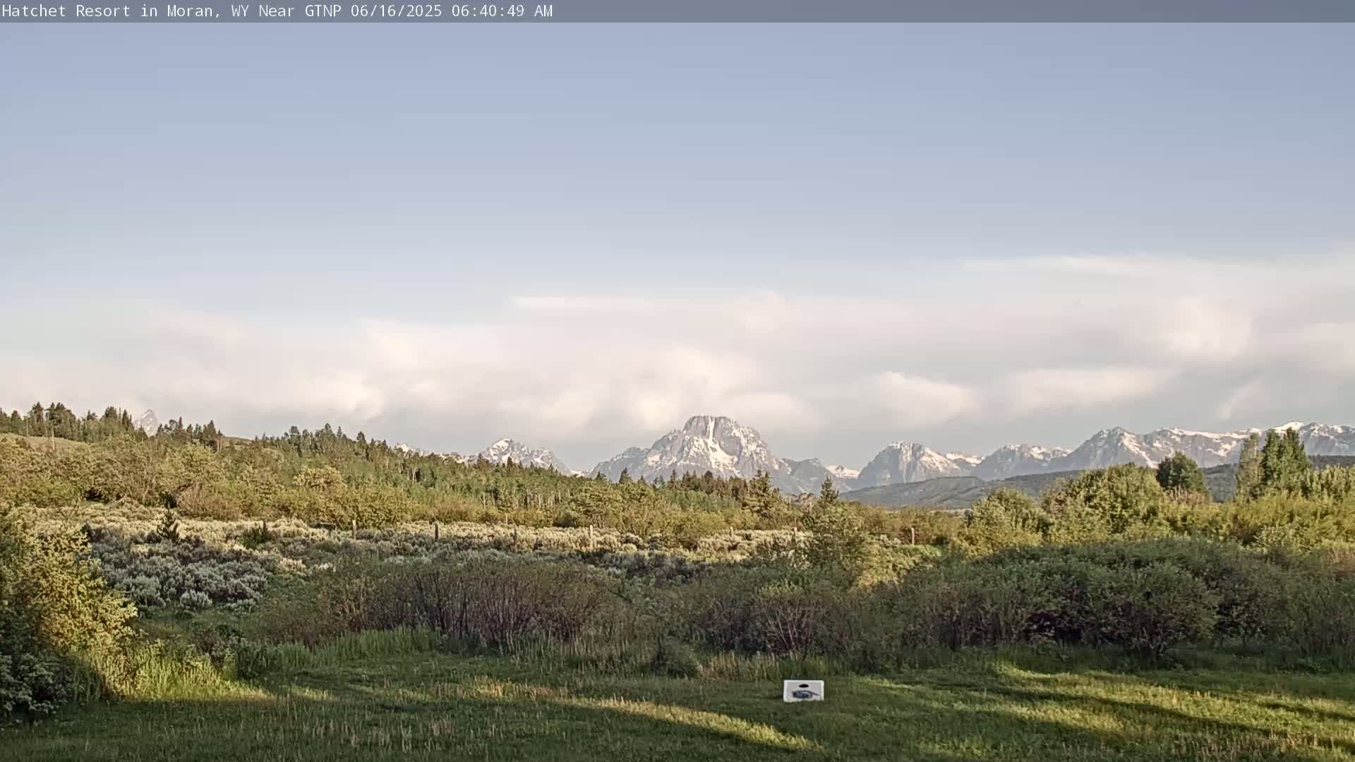 A partly cloudy morning reveals snow-capped mountains in the distance behind a field of green shrubs and grass.