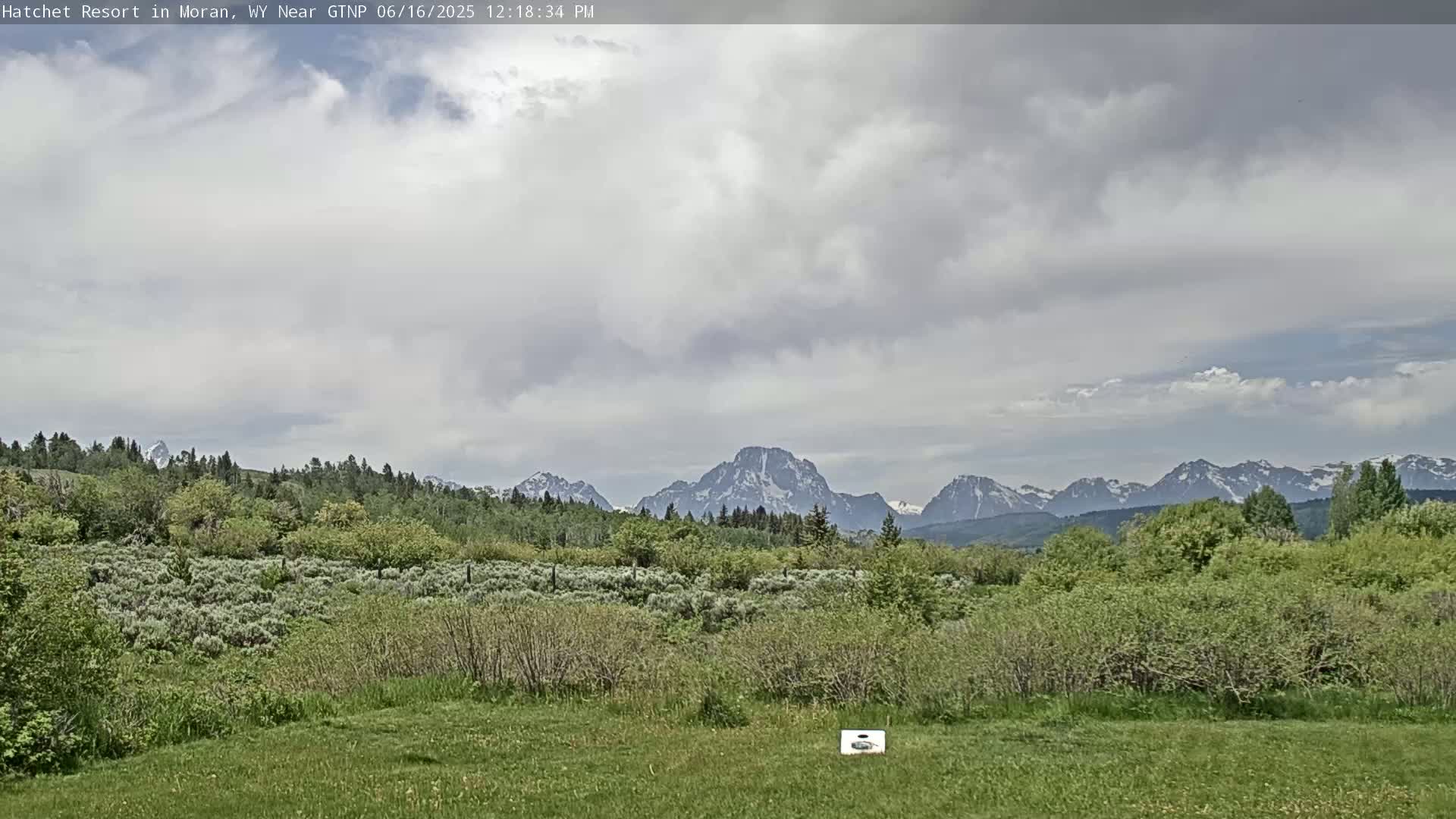 A grassy field and lush green vegetation extend towards a backdrop of snow-capped mountains under a mostly cloudy sky.