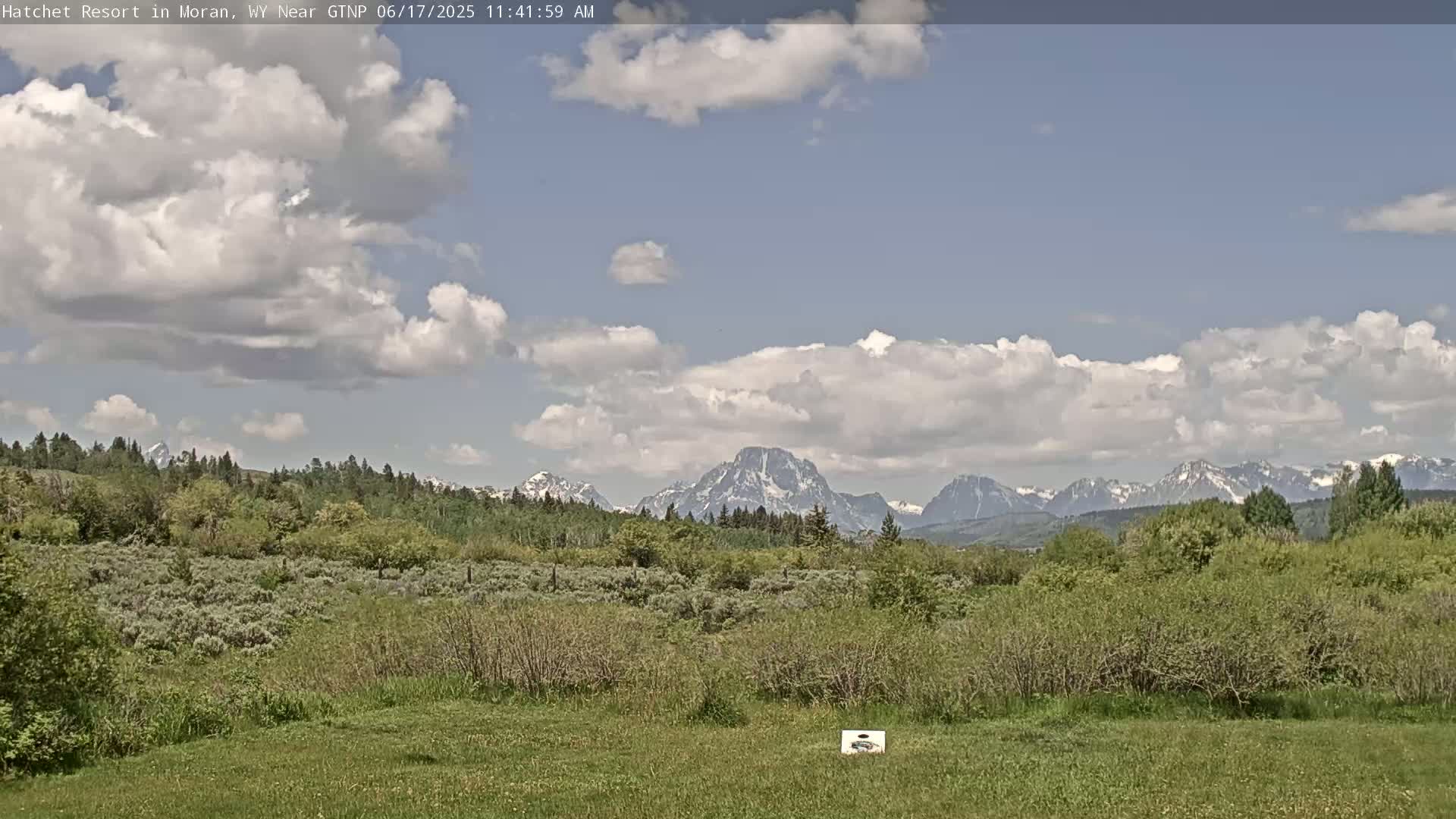A partly cloudy day reveals a grassy field with bushes and trees in the foreground, and snow-capped mountains in the background.