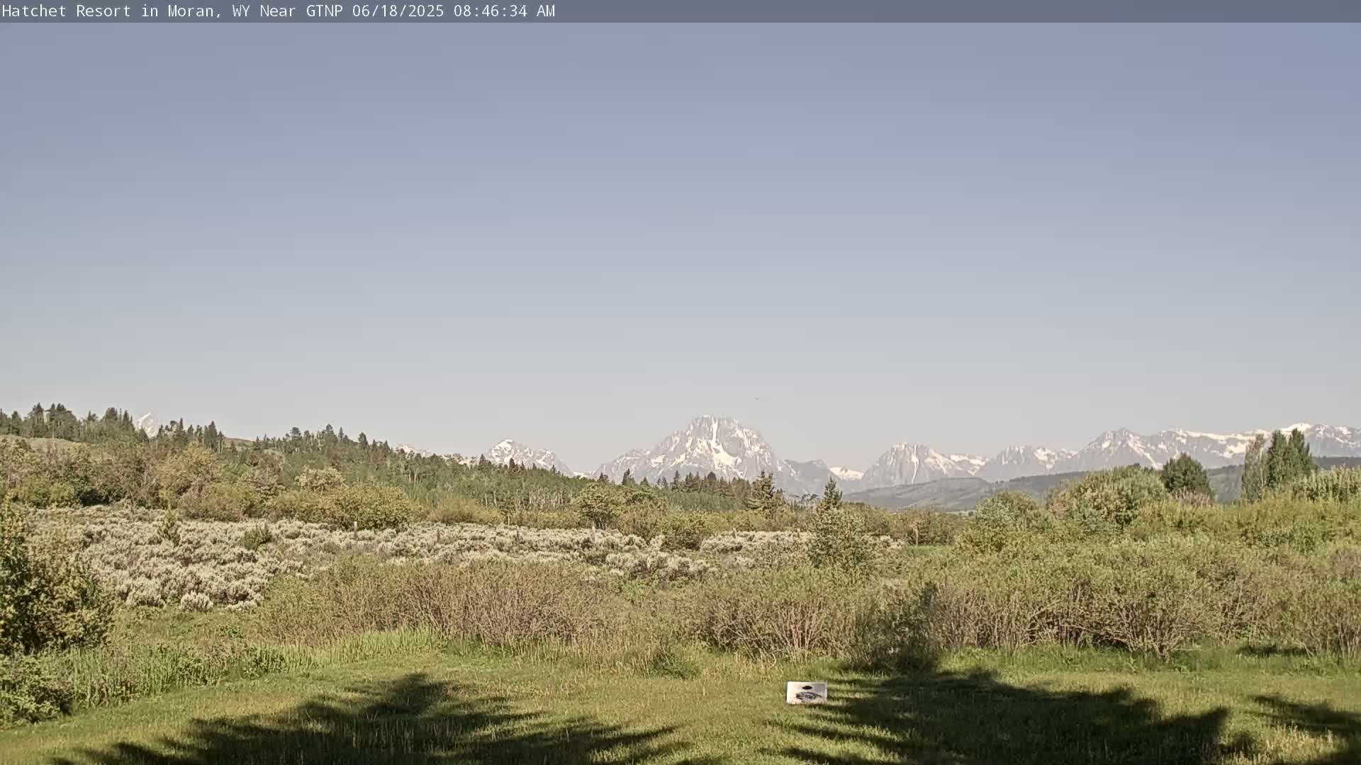 A grassy field with green shrubs and trees stretches out before a mountain range with snow-capped peaks under a clear, light-blue sky.
